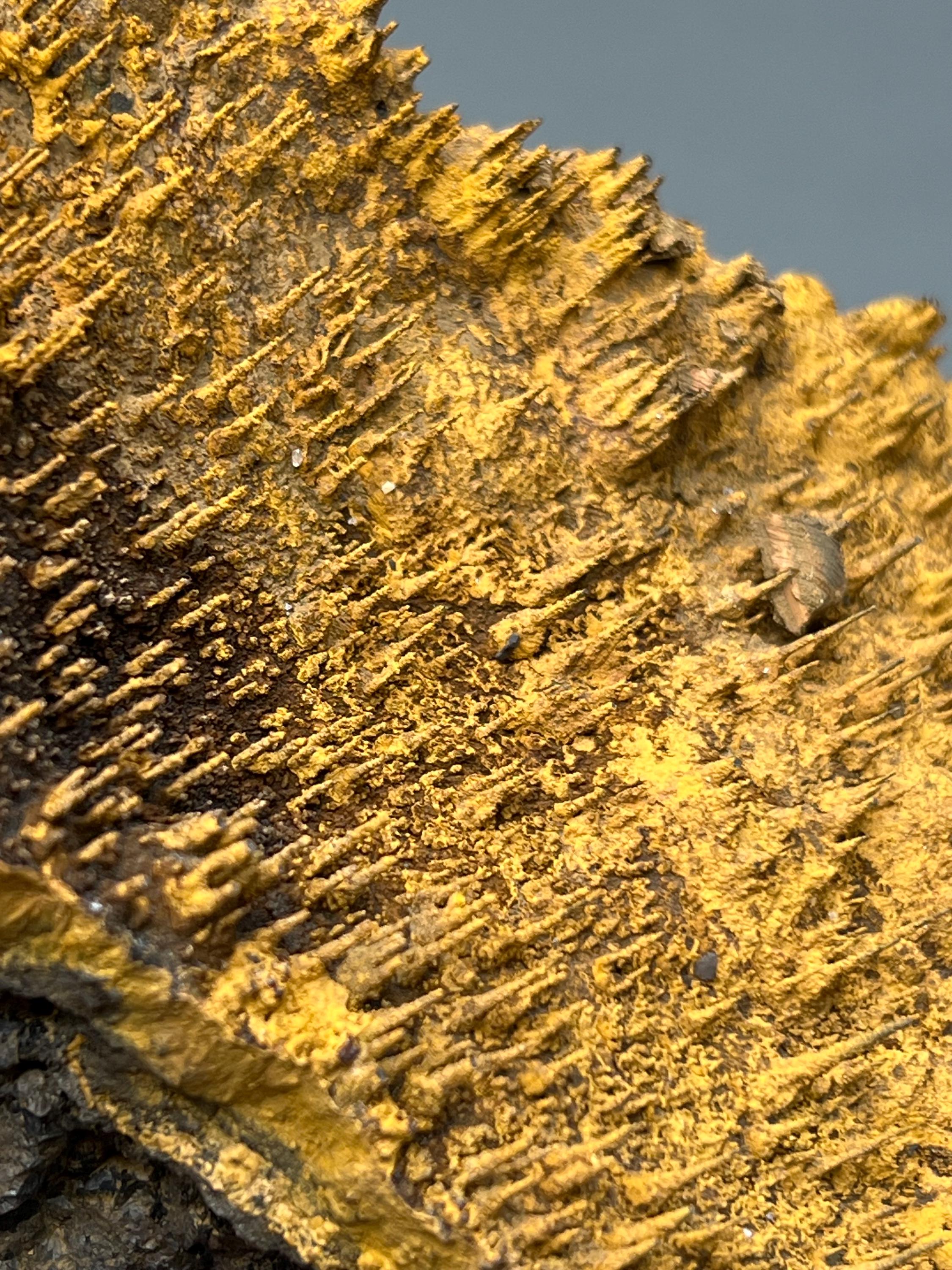 Museum quality, Very Showy Limonite On Stalactite Hematite, Special Collection Piece - Crystal Gemstone AE 