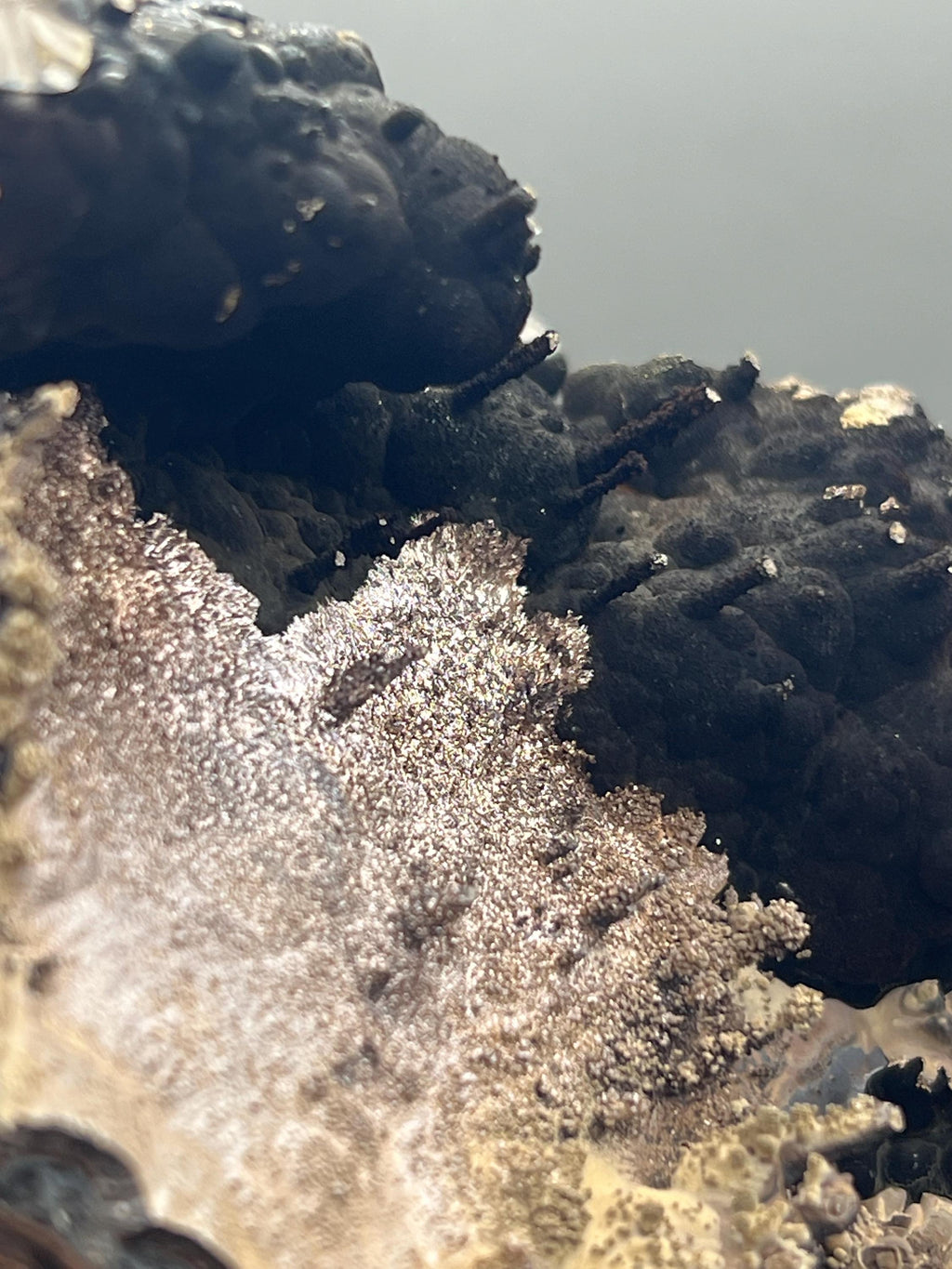 Very Special, Limonite And Specularite On Stalactite And Botryoidal Formed Goethite - Crystal Gemstone AE 