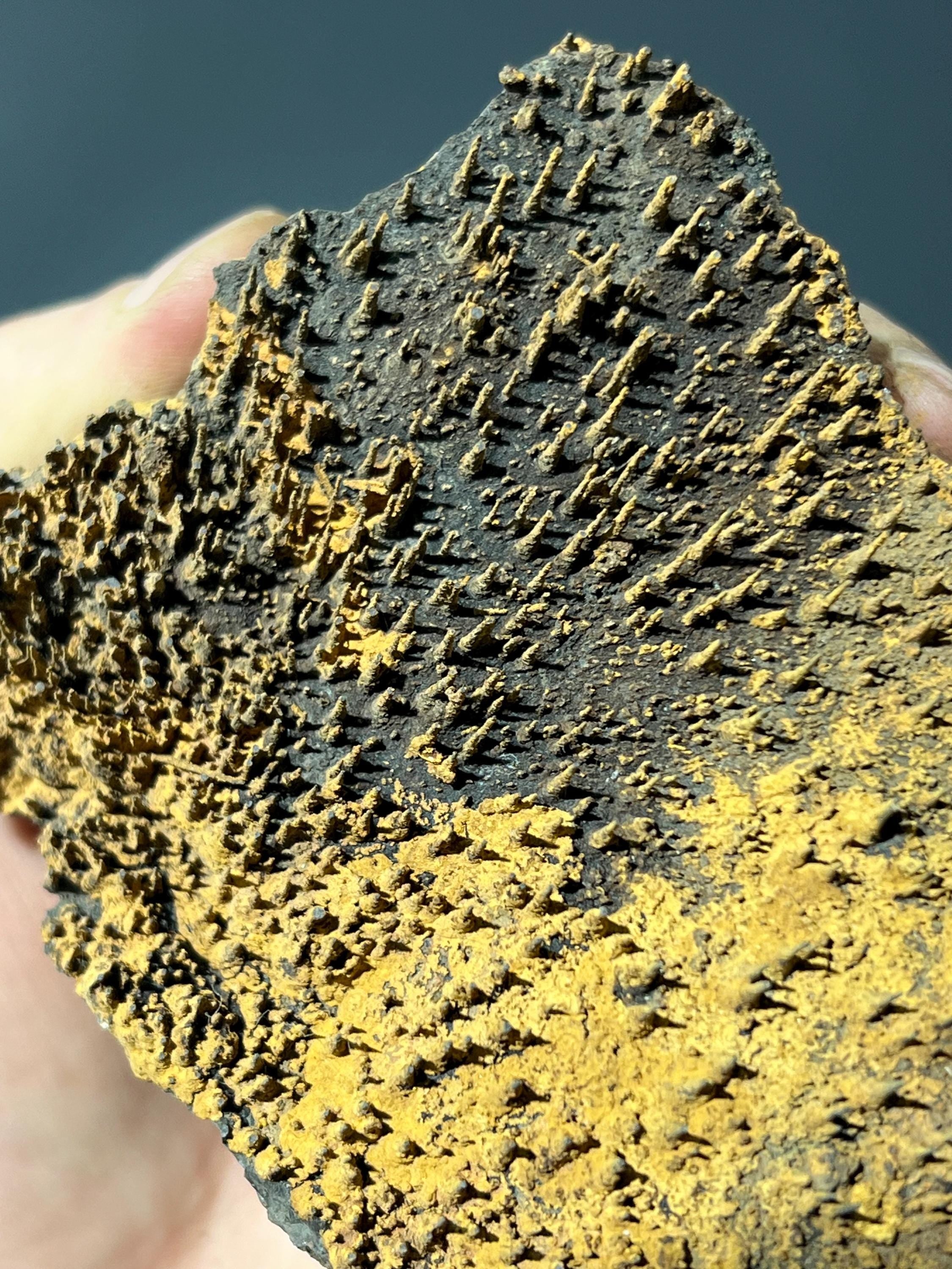 Museum Piece, Limonite With Stalactite Goethite - Crystal Gemstone AE 