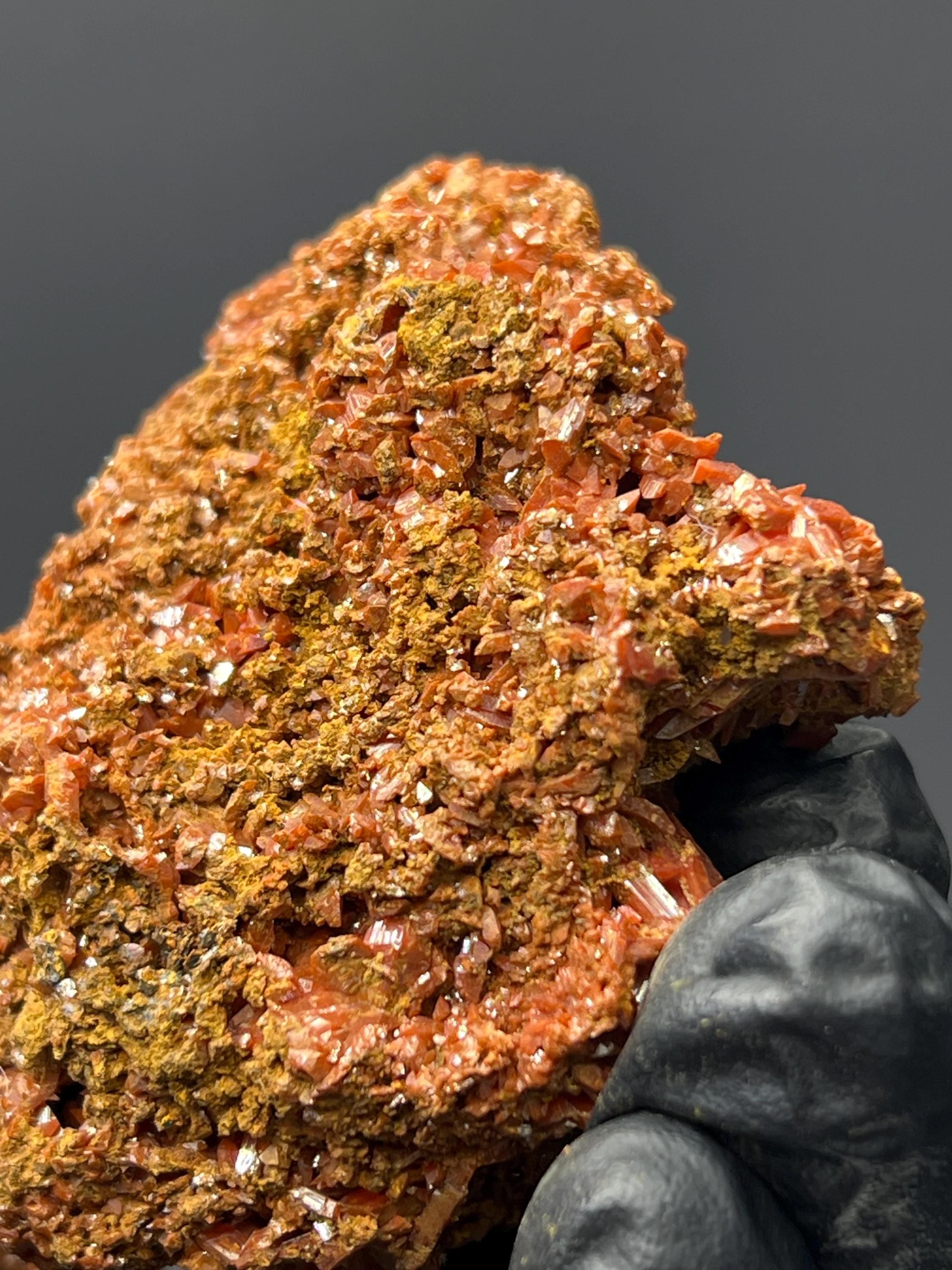 Adelaide Mine Crocoite Specimen - Tasmania Red Crystals - Crystal Gemstone AE 