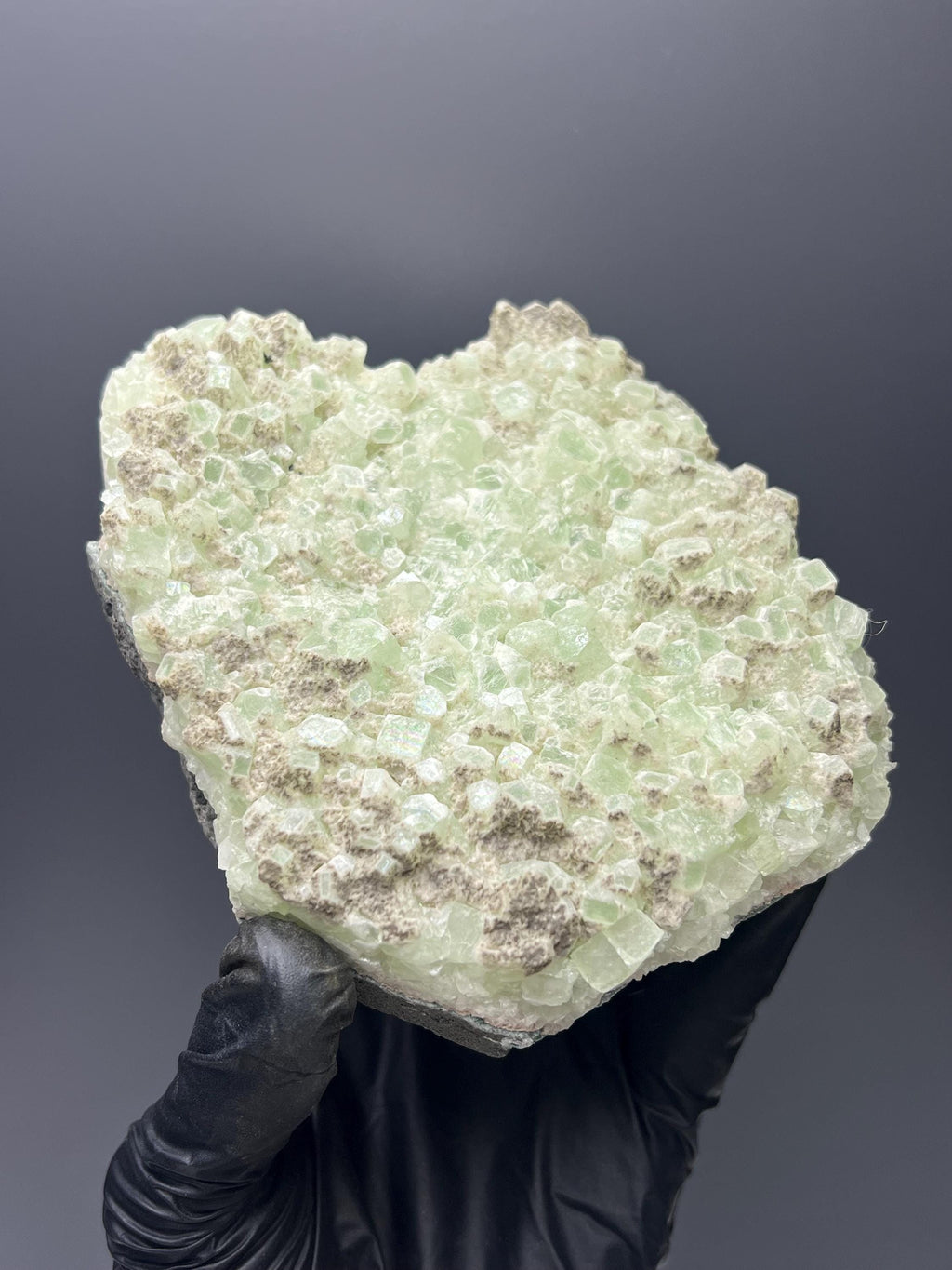 Indian Apophyllite Specimen: "Bringer of Light" Crystal - Crystal Gemstone AE 