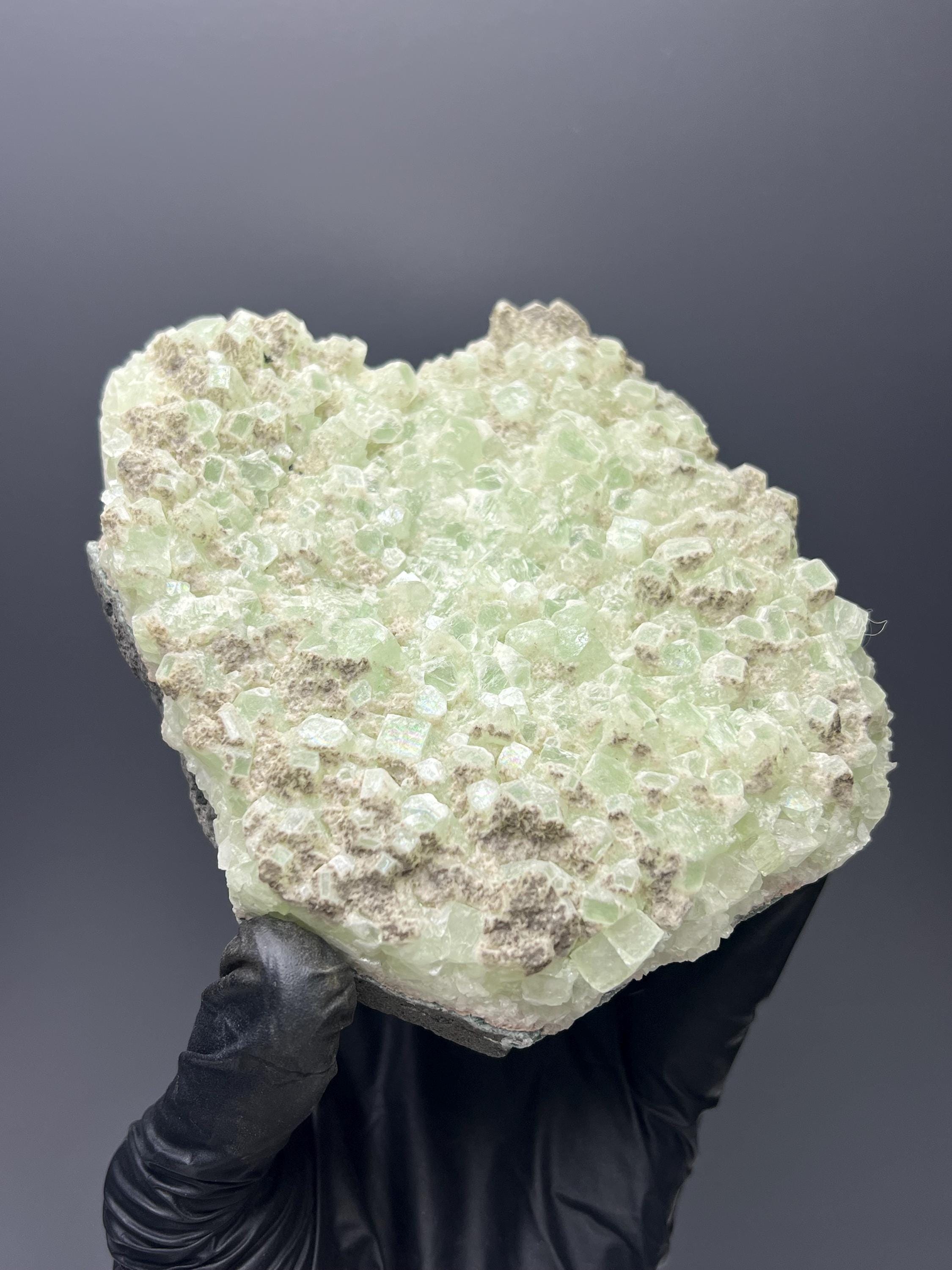 Indian Apophyllite Specimen: "Bringer of Light" Crystal - Crystal Gemstone AE 