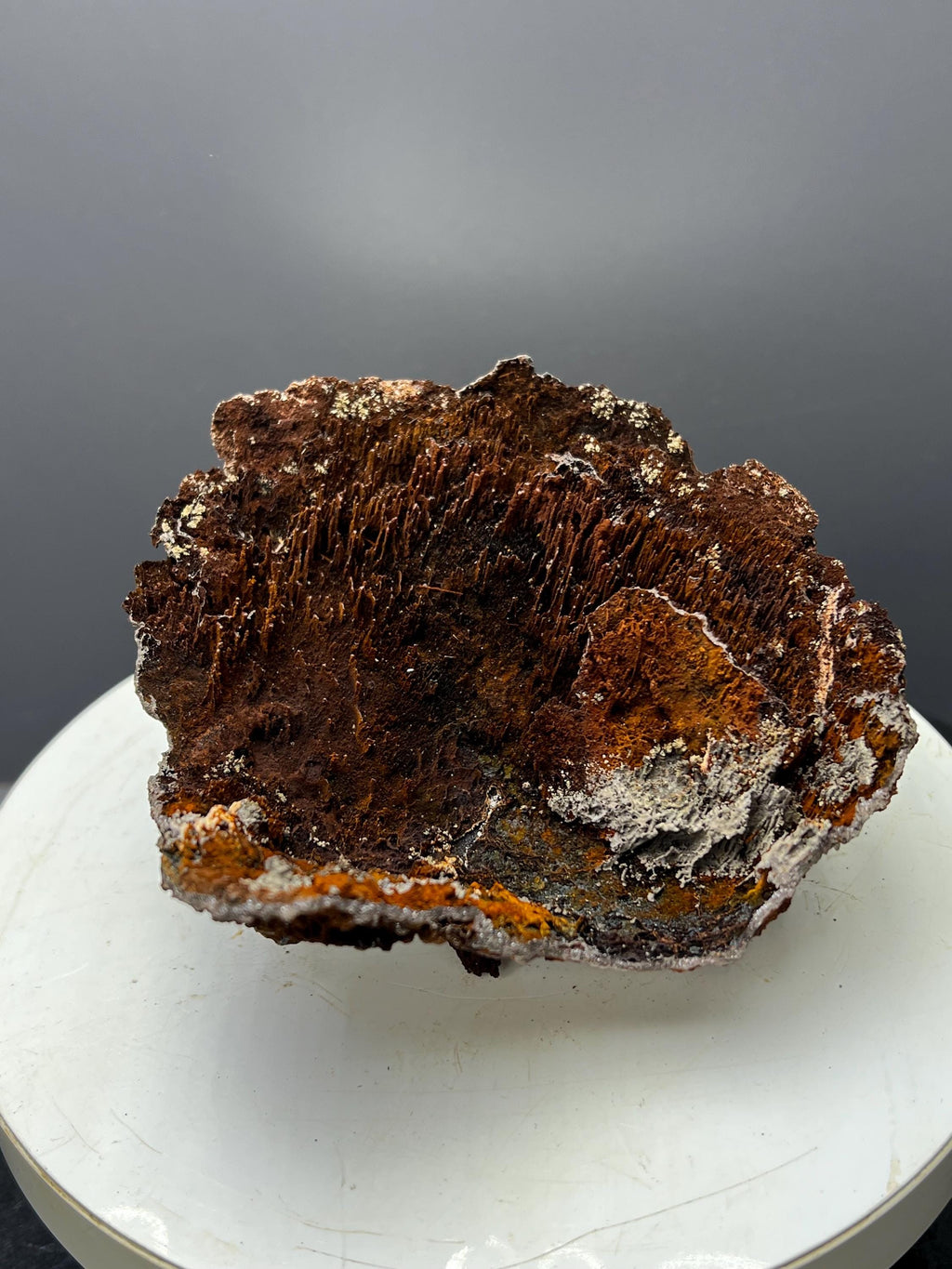 Museum Grade! Showy Limonite And Specularite With Stalactite Goethite Specimen - Crystal Gemstone AE 