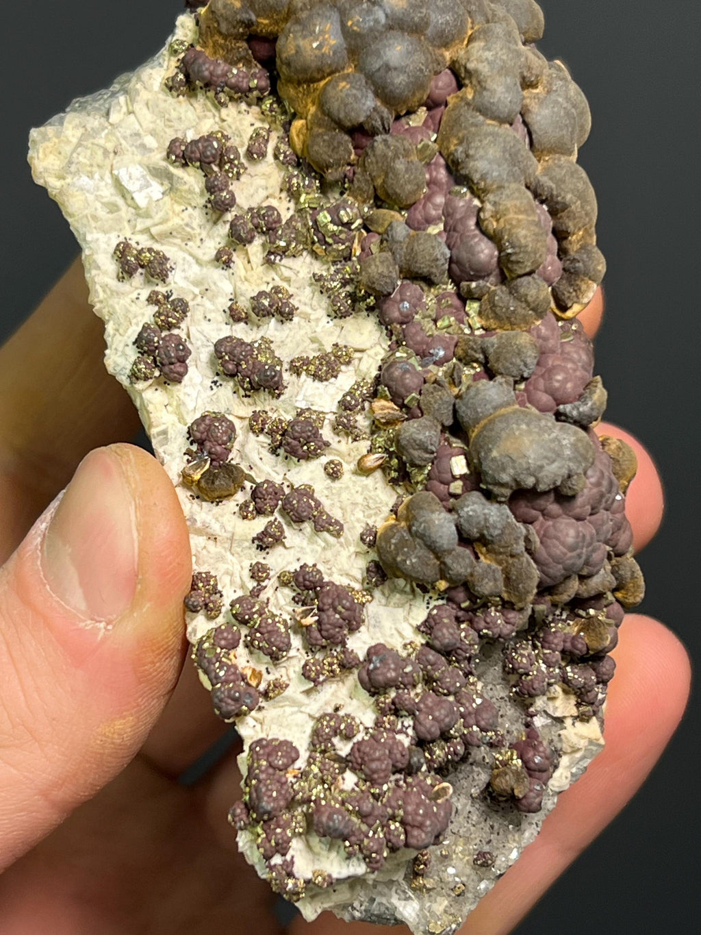 Reniform Goethite, Pyrite, and Marcasite Specimen, Wawa Ontario - Crystal Gemstone AE 