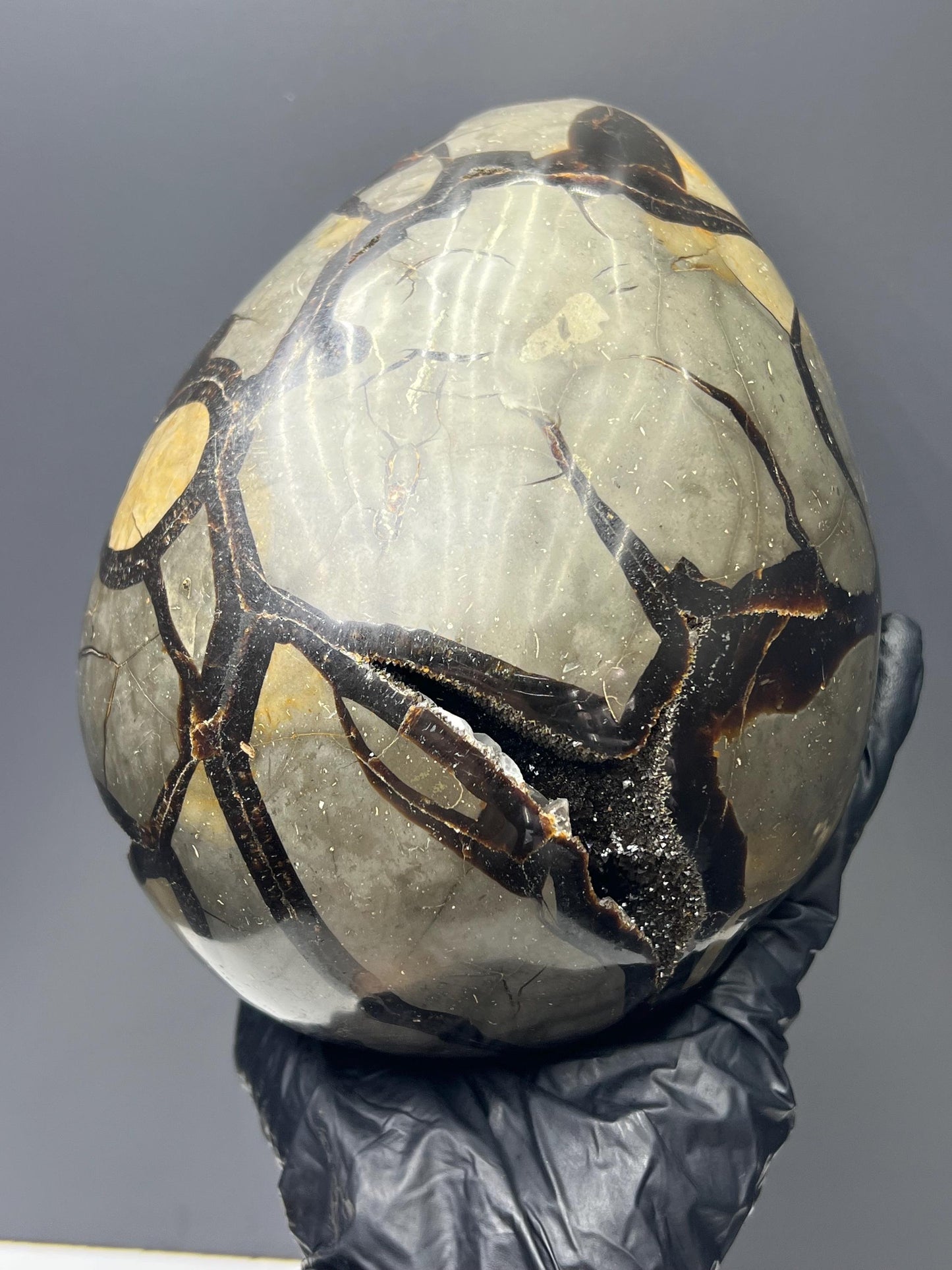 XL Polished Septarian Egg - Crystal Gemstone AE 