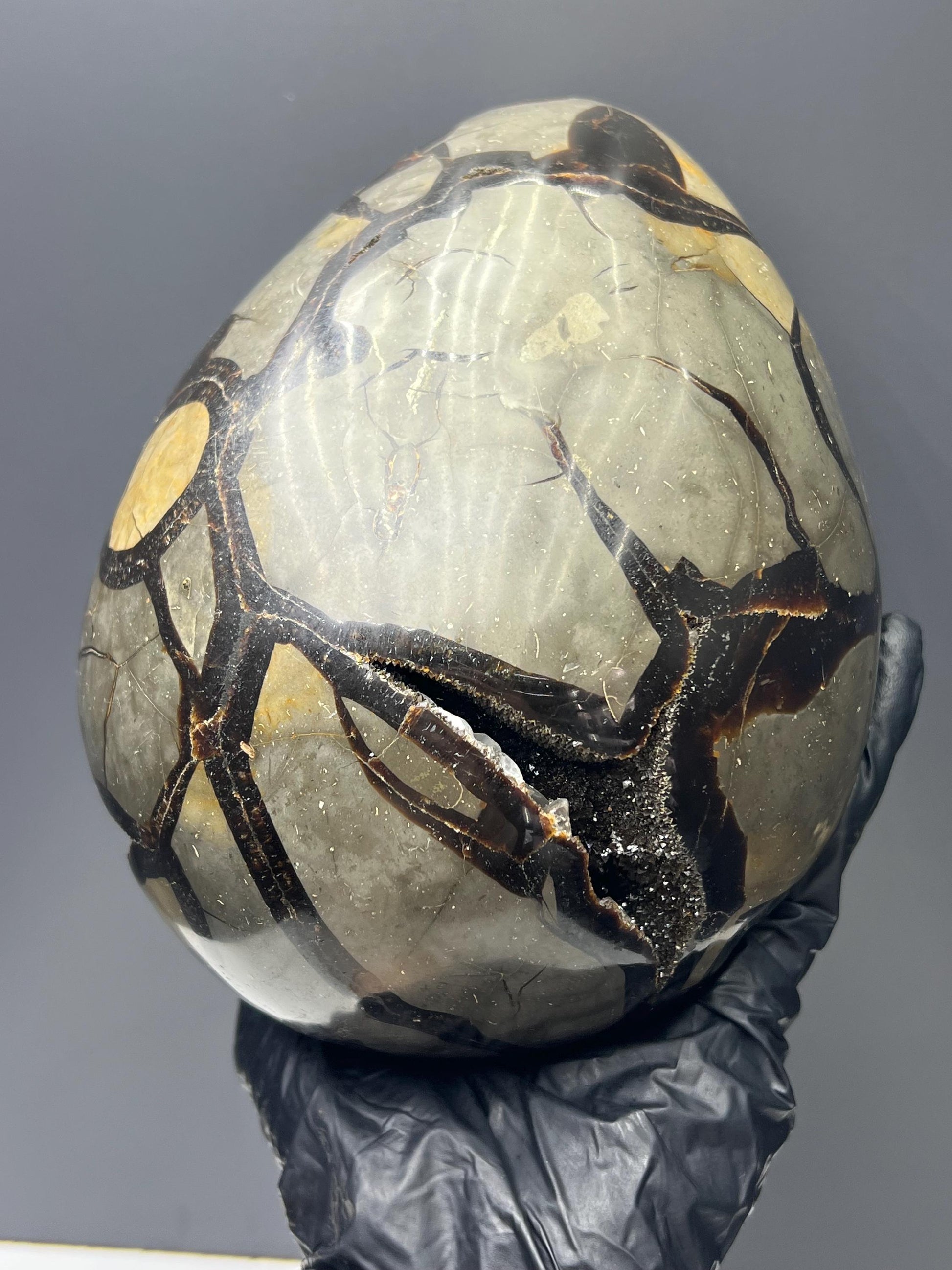 XL Polished Septarian Egg - Crystal Gemstone AE 