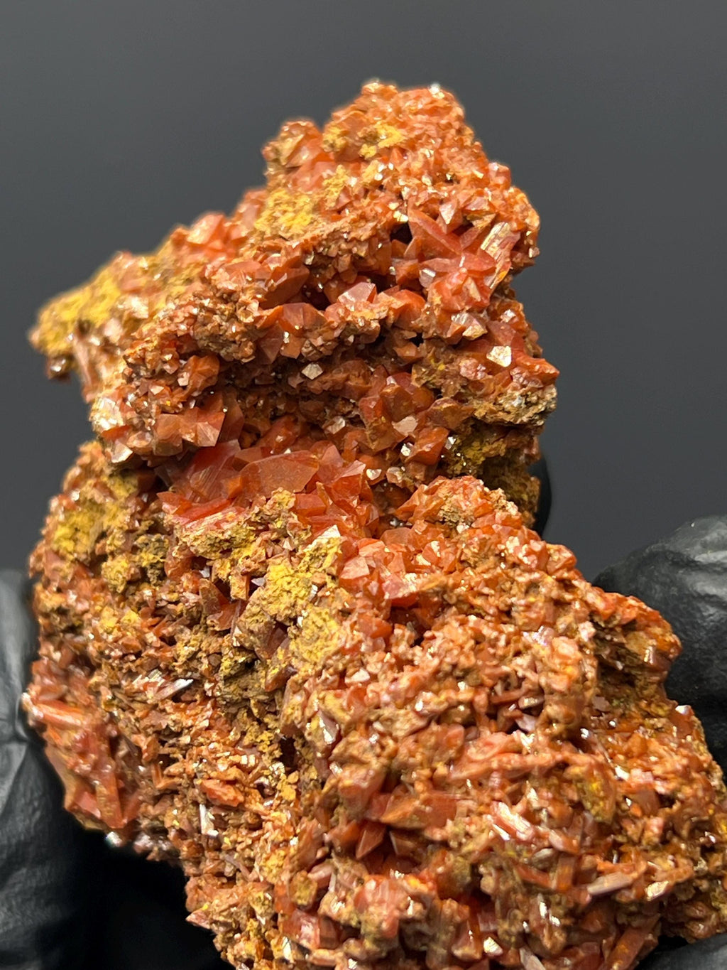 Adelaide Mine Crocoite Specimen - Tasmania Red Crystals - Crystal Gemstone AE 
