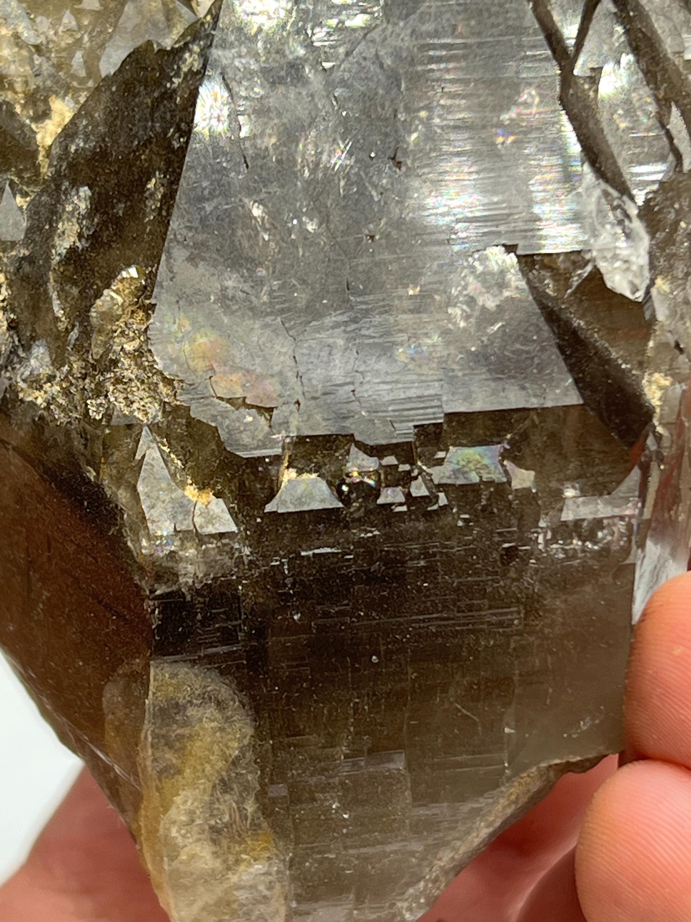 Colored Alloy Elestial Smoky Quartz - Crystal Gemstone AE 