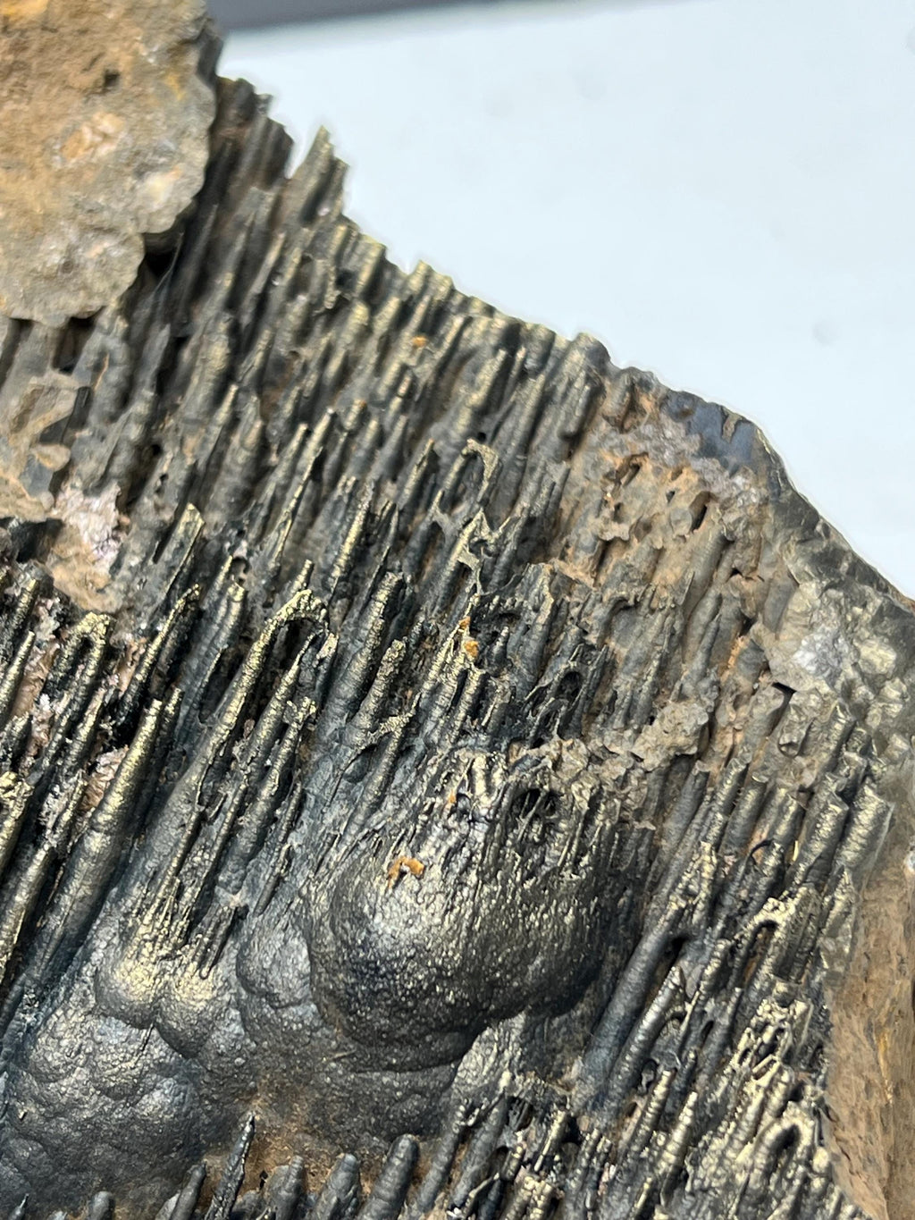 Museum quality, Extra Large Golden Color Stalactite Goethite, From Turkey, Very Special Collection Piece - Crystal Gemstone AE 