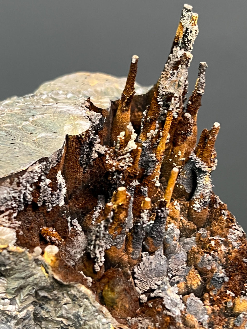 Museum Grade Specularite And Limonite On Stalactite Goethite - Crystal Gemstone AE 