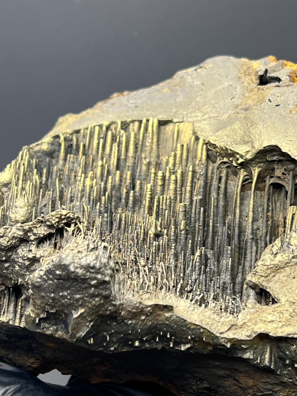 Museum Grade, Golden Color Stalactite Goethite - Crystal Gemstone AE 