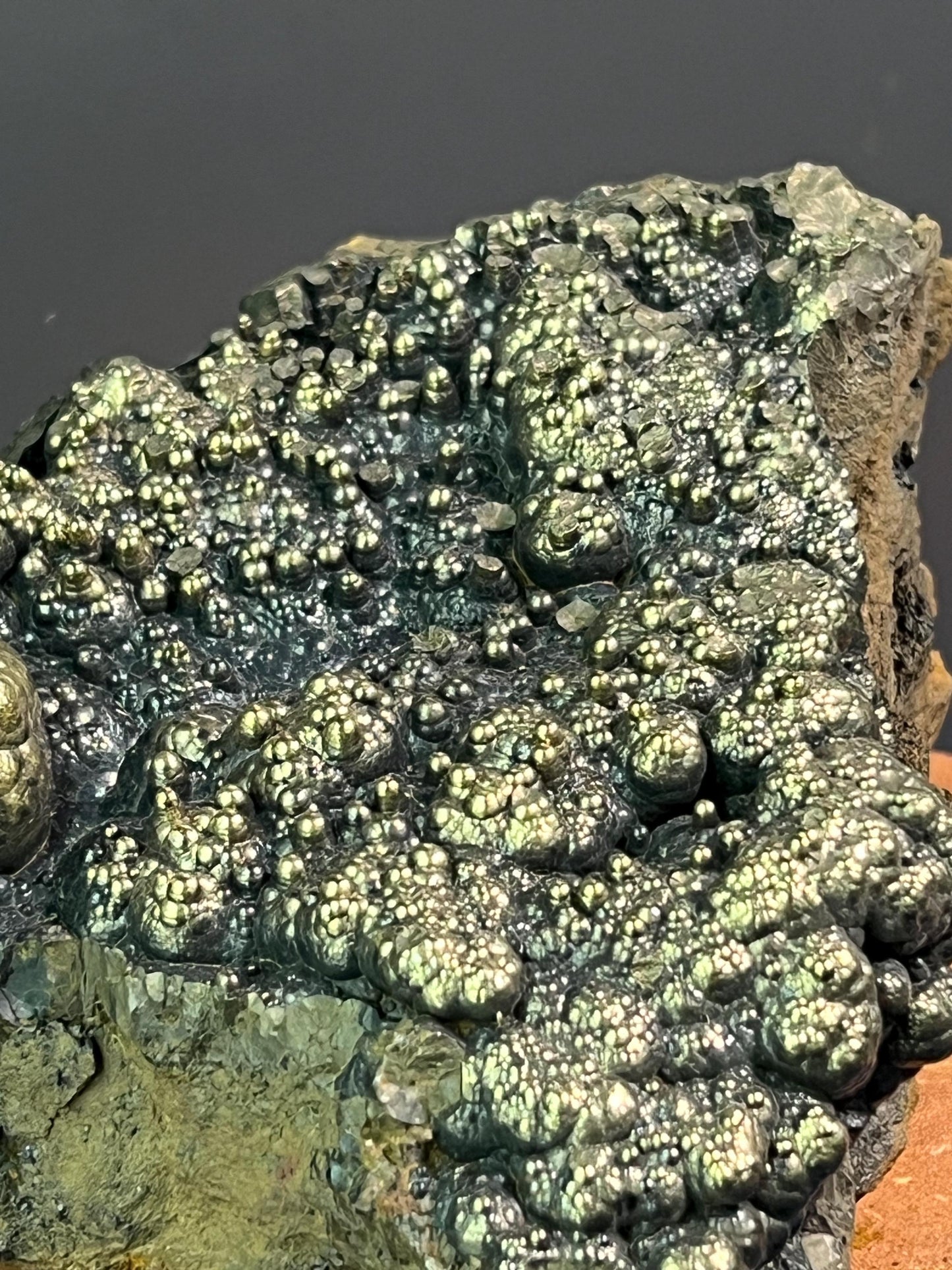 "Museum Grade" Golden Color Botryoidal Goethite - Crystal Gemstone AE 