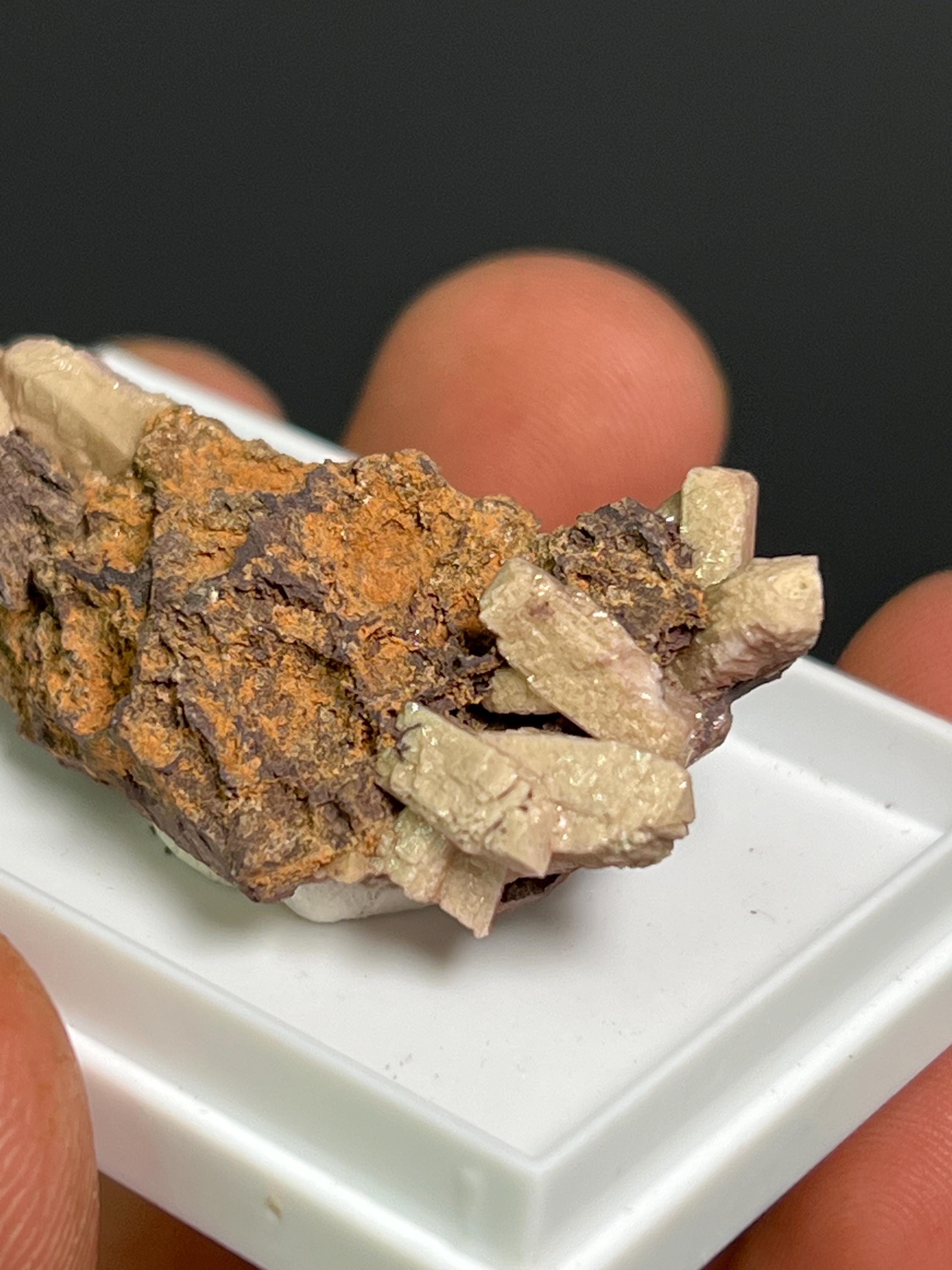 Very Rare And Unique Poldervaartite Specimen - Crystal Gemstone AE 
