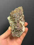Reniform Goethite, Pyrite, and Marcasite Specimen, Wawa Ontario - Crystal Gemstone AE 