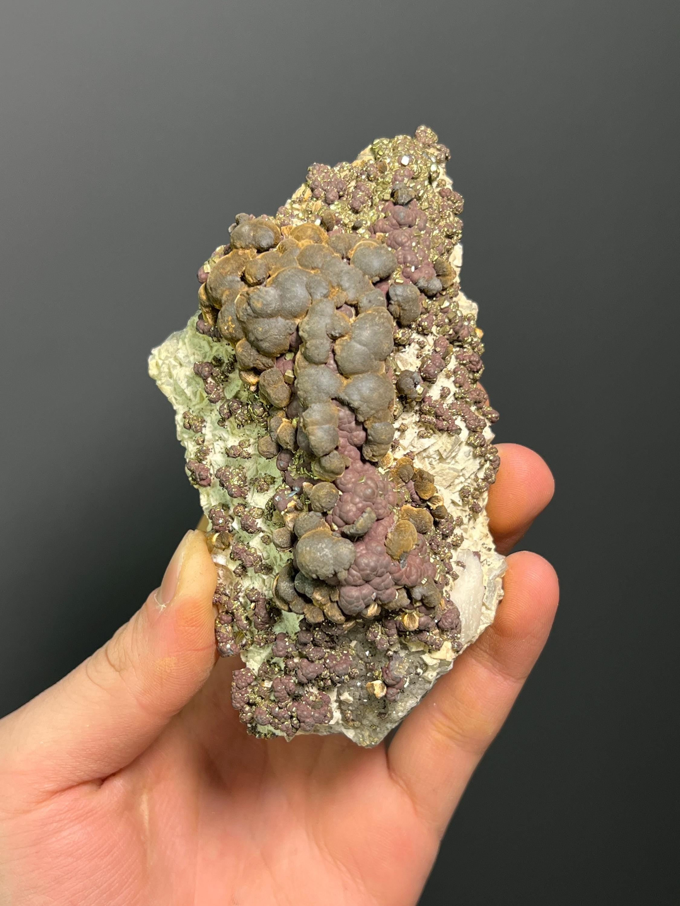 Reniform Goethite, Pyrite, and Marcasite Specimen, Wawa Ontario - Crystal Gemstone AE 