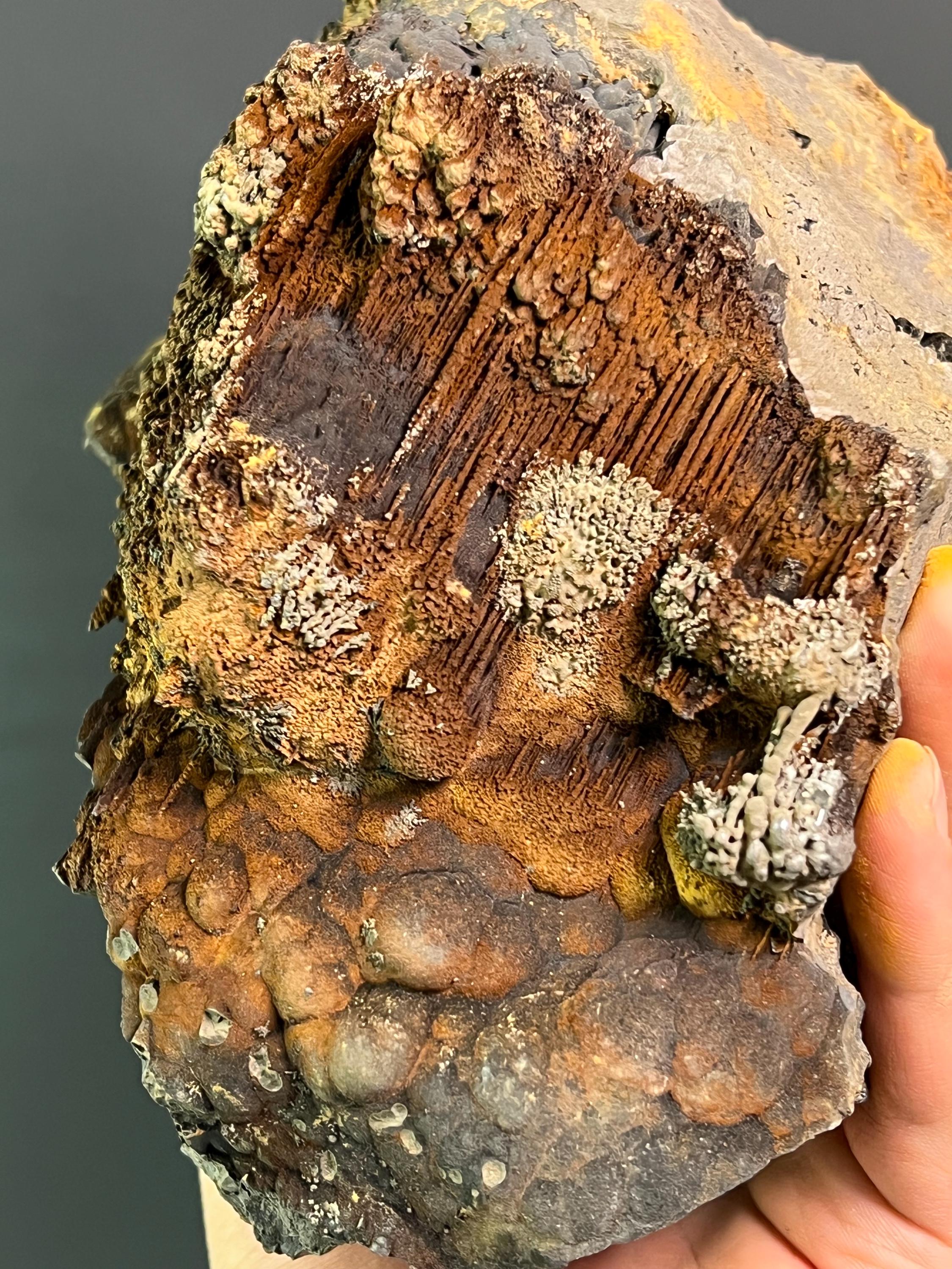Museum Grade Limonite And Specularite On Stalactite And Botryoidal Formation Goethite - Crystal Gemstone AE 