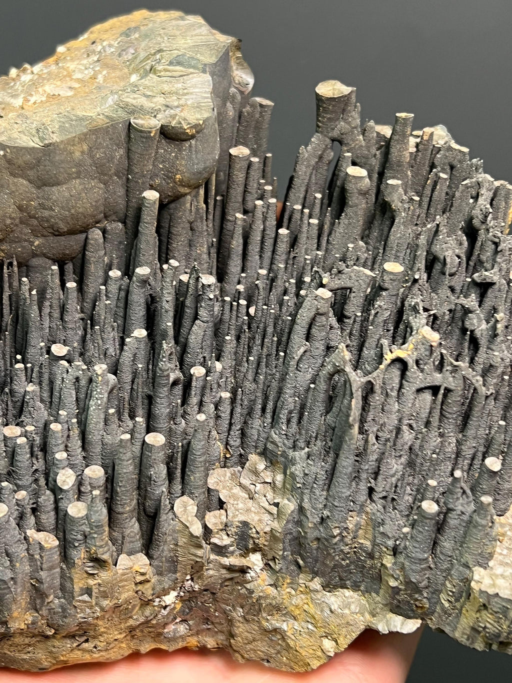 Museum Grade Stalactite Goethite Specimen - Crystal Gemstone AE 