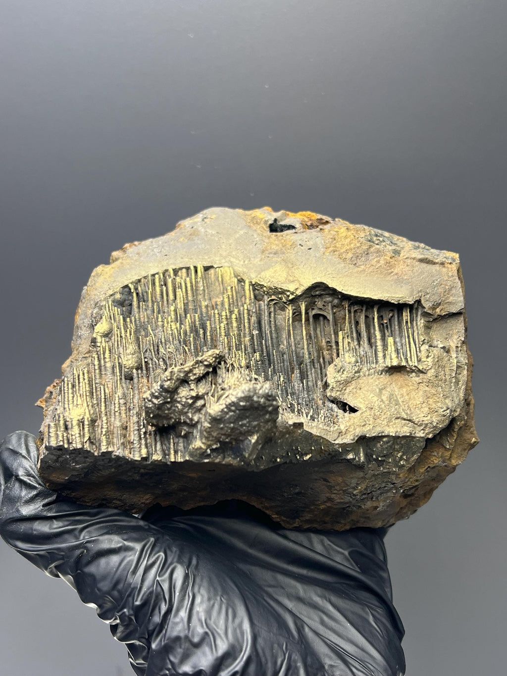 Museum Grade, Golden Color Stalactite Goethite - Crystal Gemstone AE 