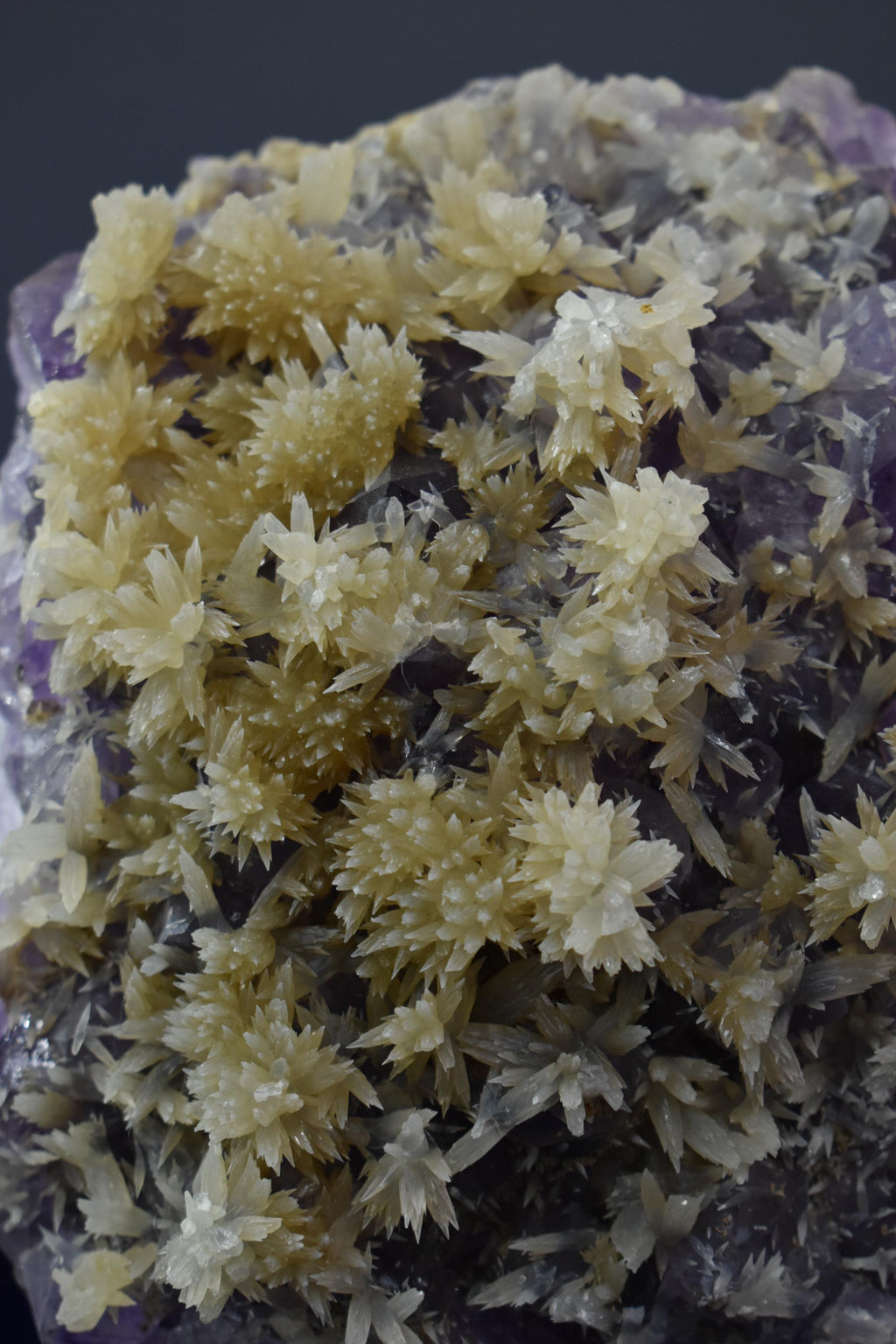 Flower Calcite With Amethyst Specimen - Crystal Gemstone AE 