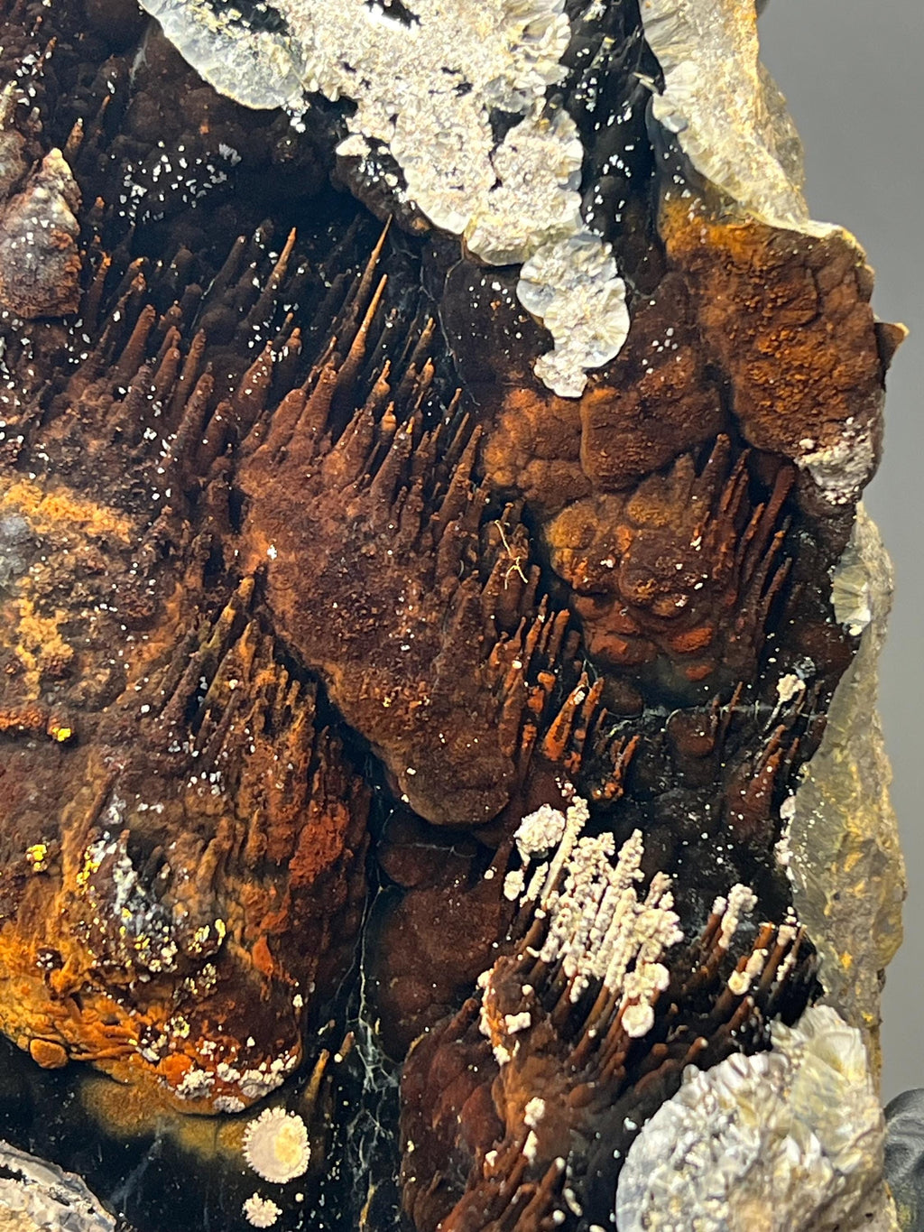 Museum Grade Showy Limonite And Specularite On Stalactite Goethite, For Special Collection Piece - Crystal Gemstone AE 