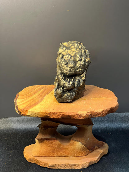 Museum Grade Very Showy Botryoidal And Stalactite Formation Golden Goethite Specimen - Crystal Gemstone AE 