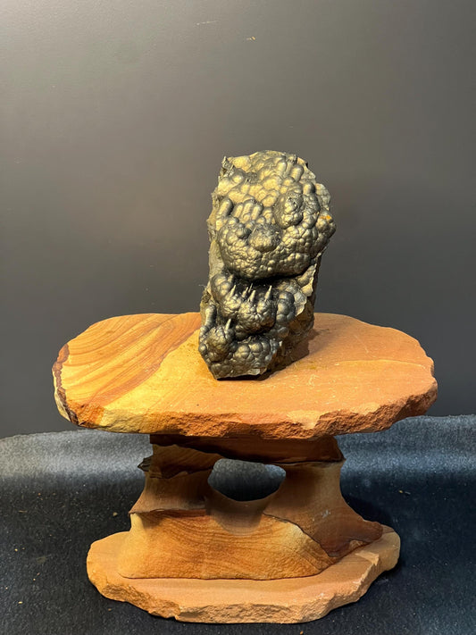 Museum Grade Very Showy Botryoidal And Stalactite Formation Golden Goethite Specimen - Crystal Gemstone AE 