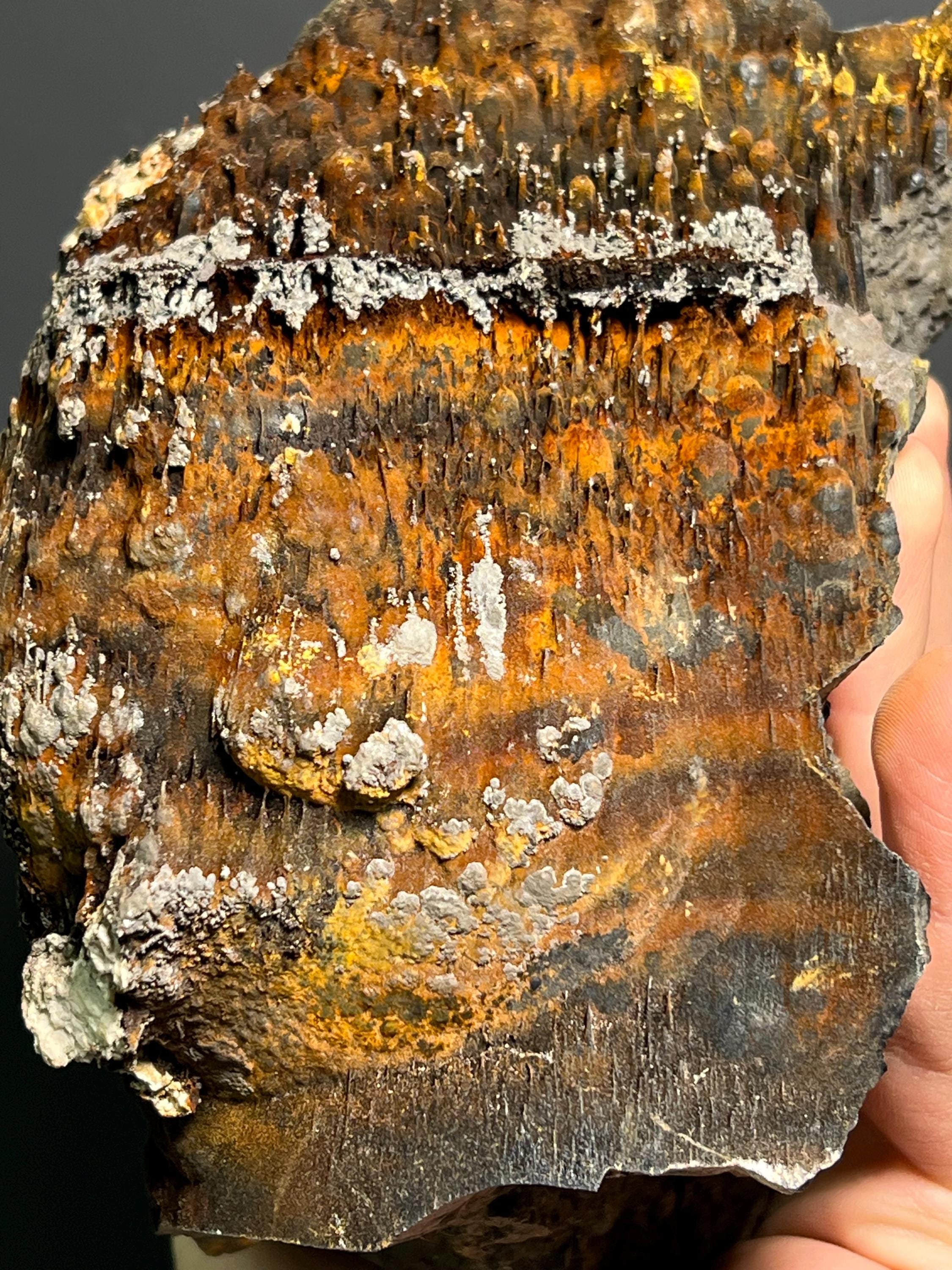 Museum Grade, Limonite And Specularite On Stalactite Goethite, 3,9kg - Crystal Gemstone AE 