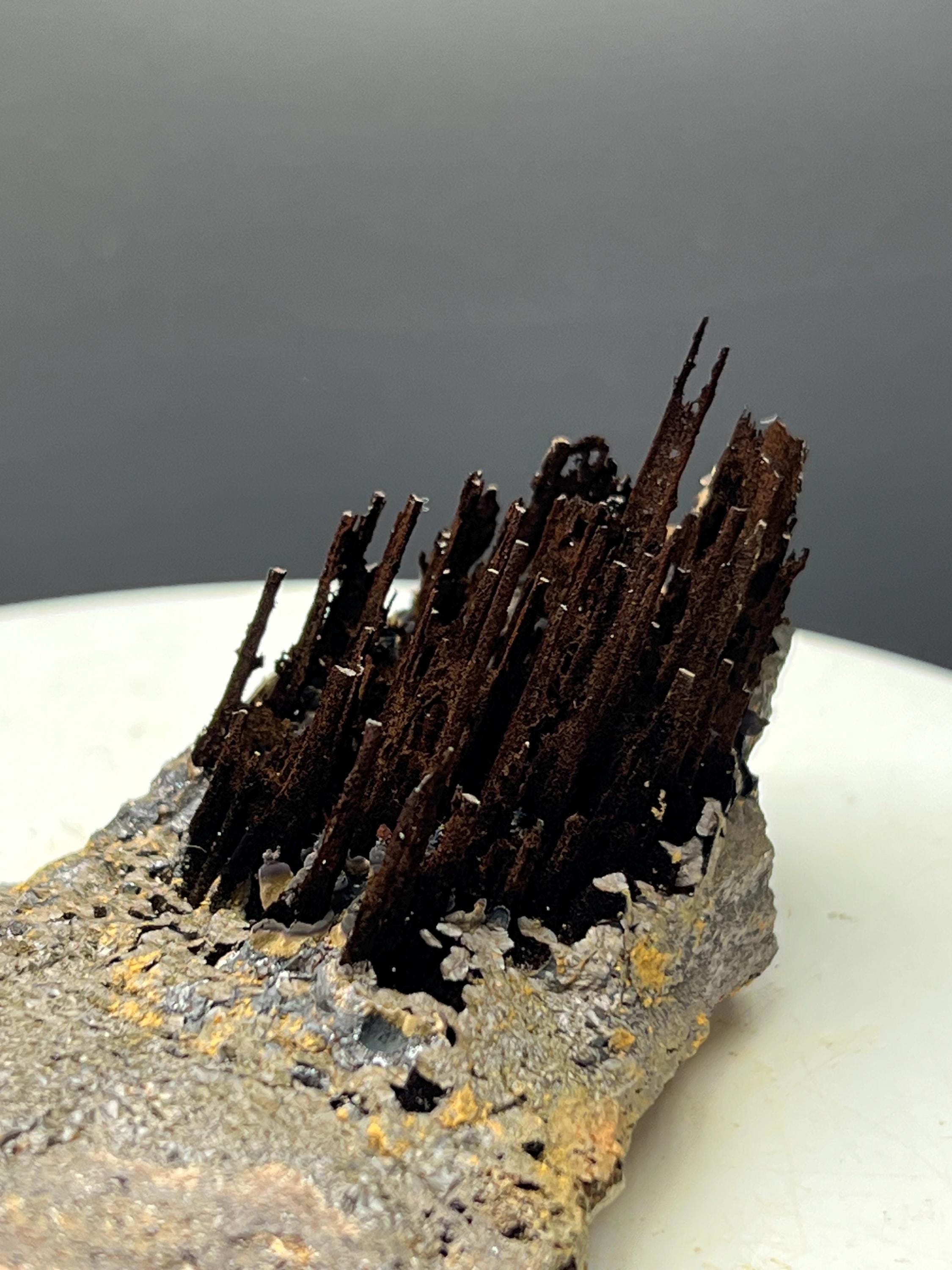 Very Showy Limonite With Stalactite Goethite Specimen - Crystal Gemstone AE 