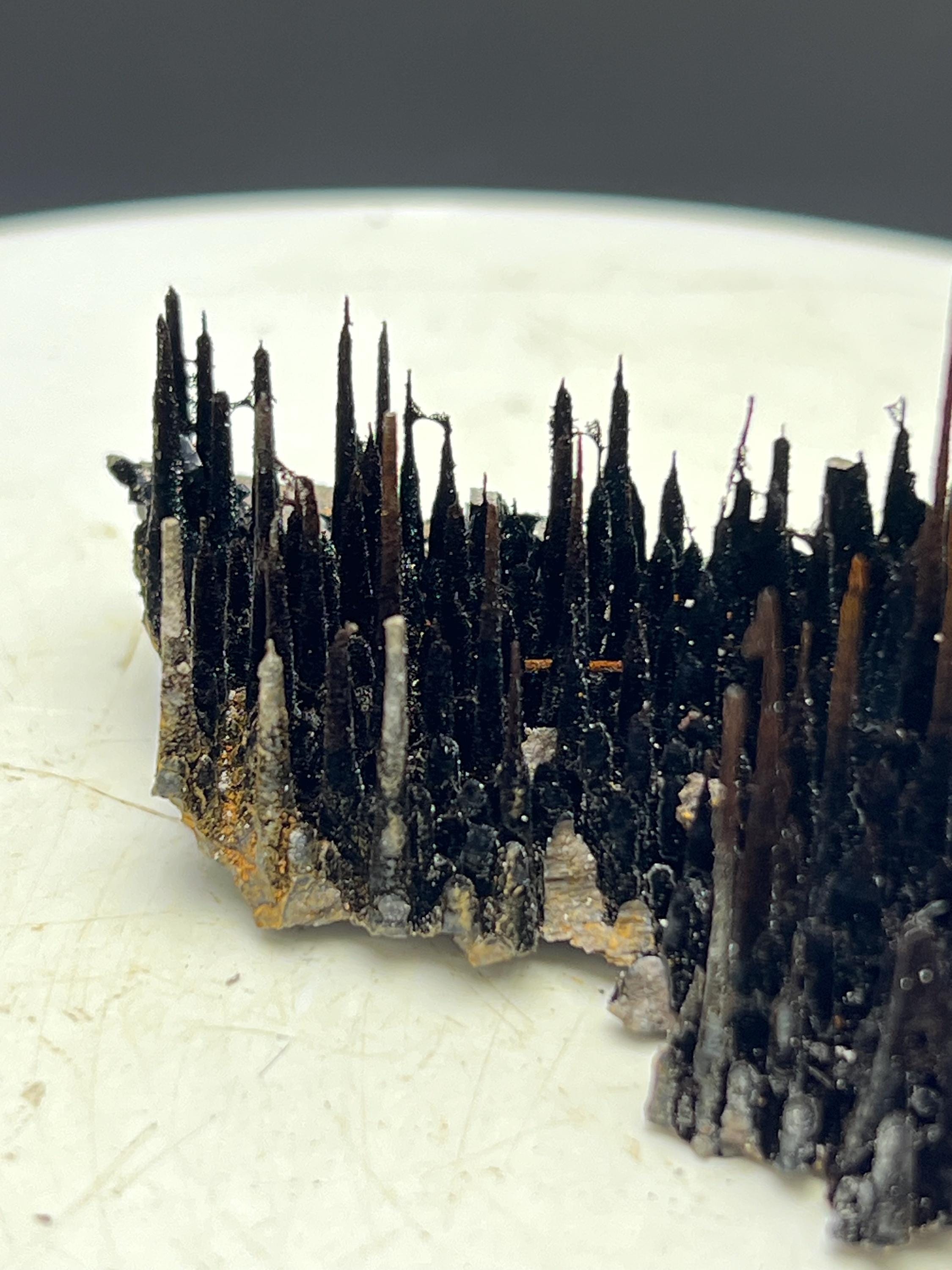 Museum Piece! Showy Stalactite Forest Goethite Specimen - Crystal Gemstone AE 