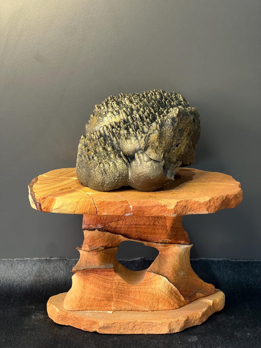 Museum Grade, Very Special Golden Color Stalactite Goethite Specimen, For Special Collection - Crystal Gemstone AE 