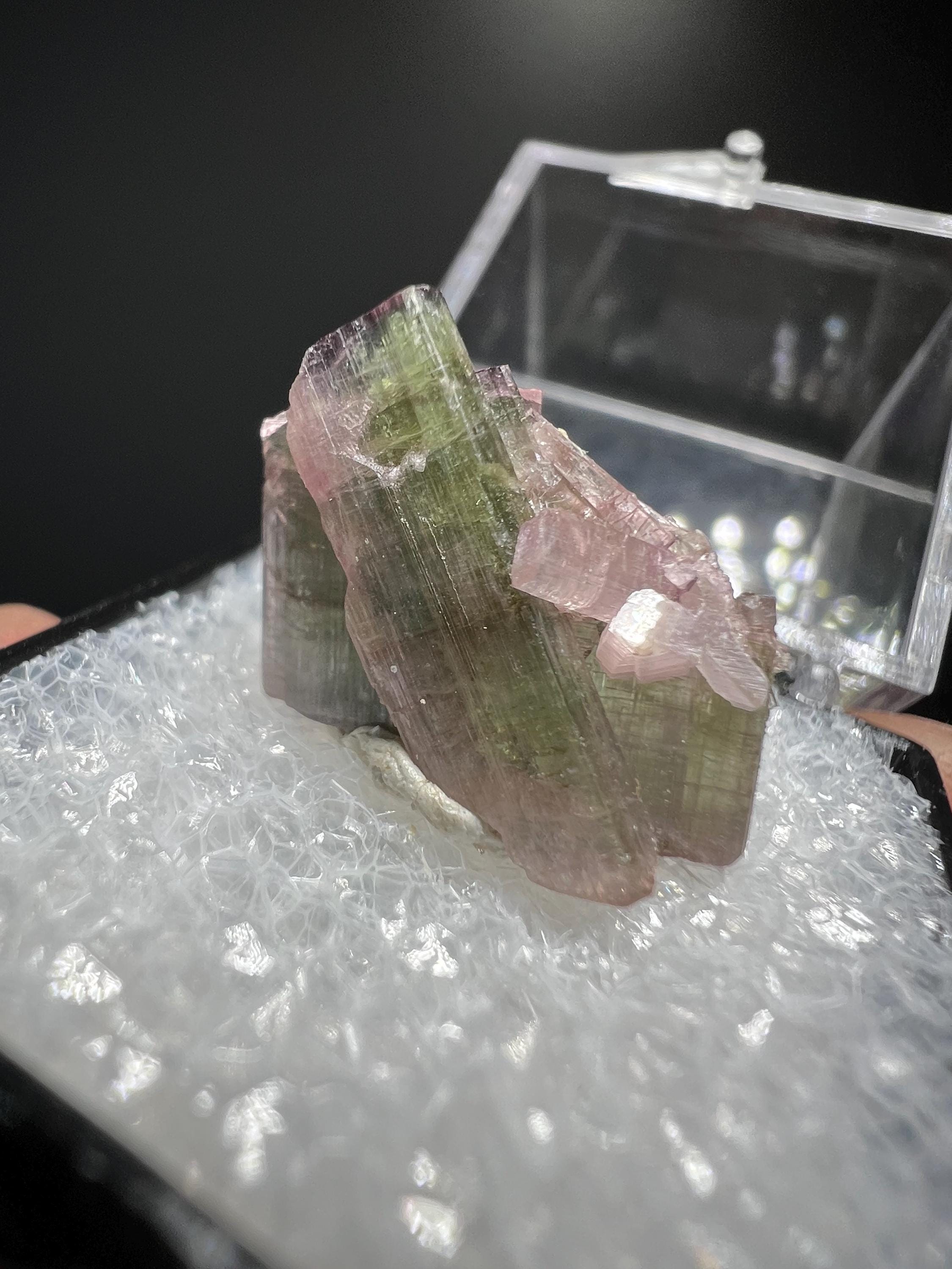 Elbaite Tourmaline Specimen - Crystal Gemstone AE 
