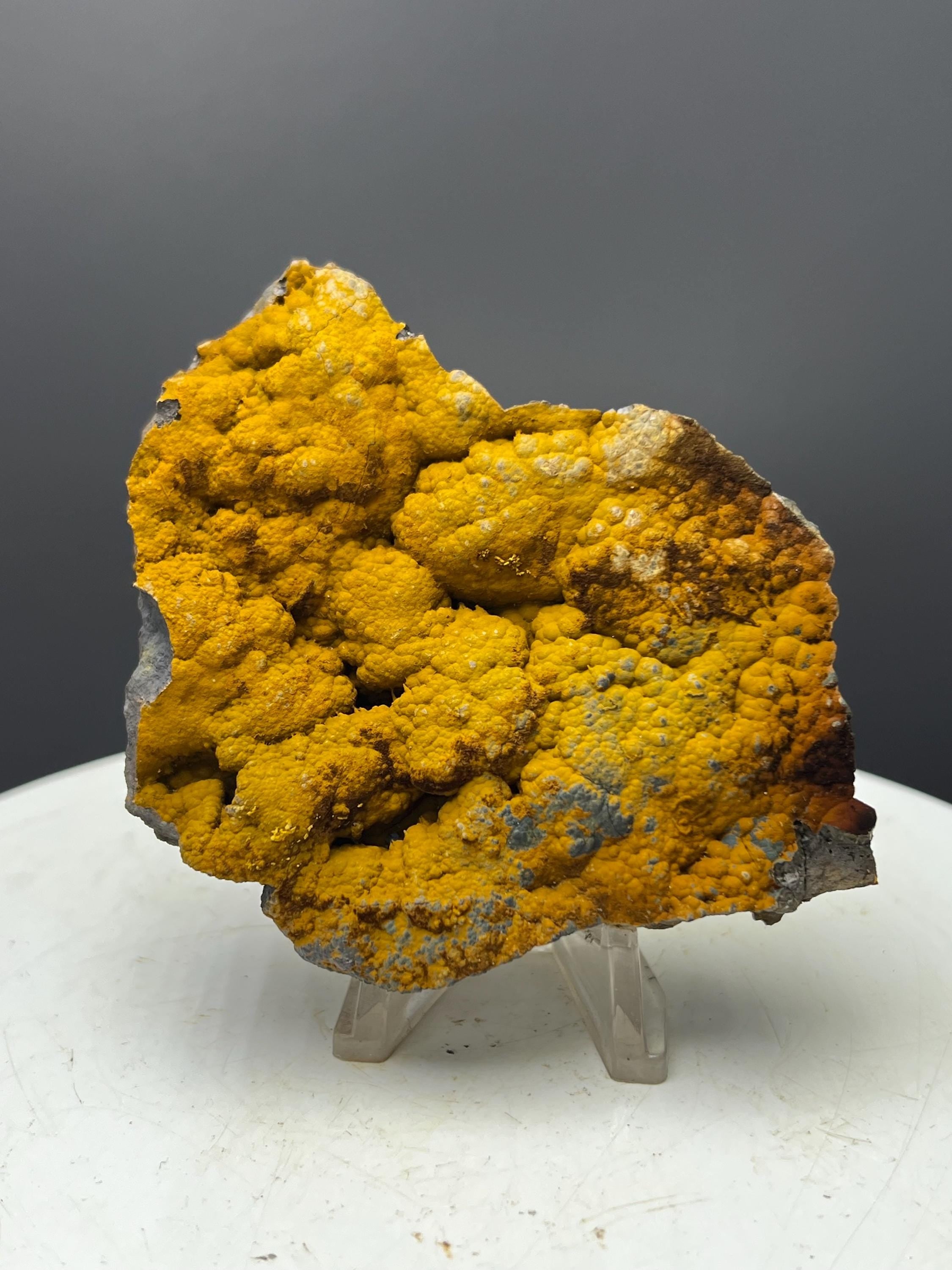 Very Special Quality, Limonite With Botryoidal Goethite Specimen - Crystal Gemstone AE 