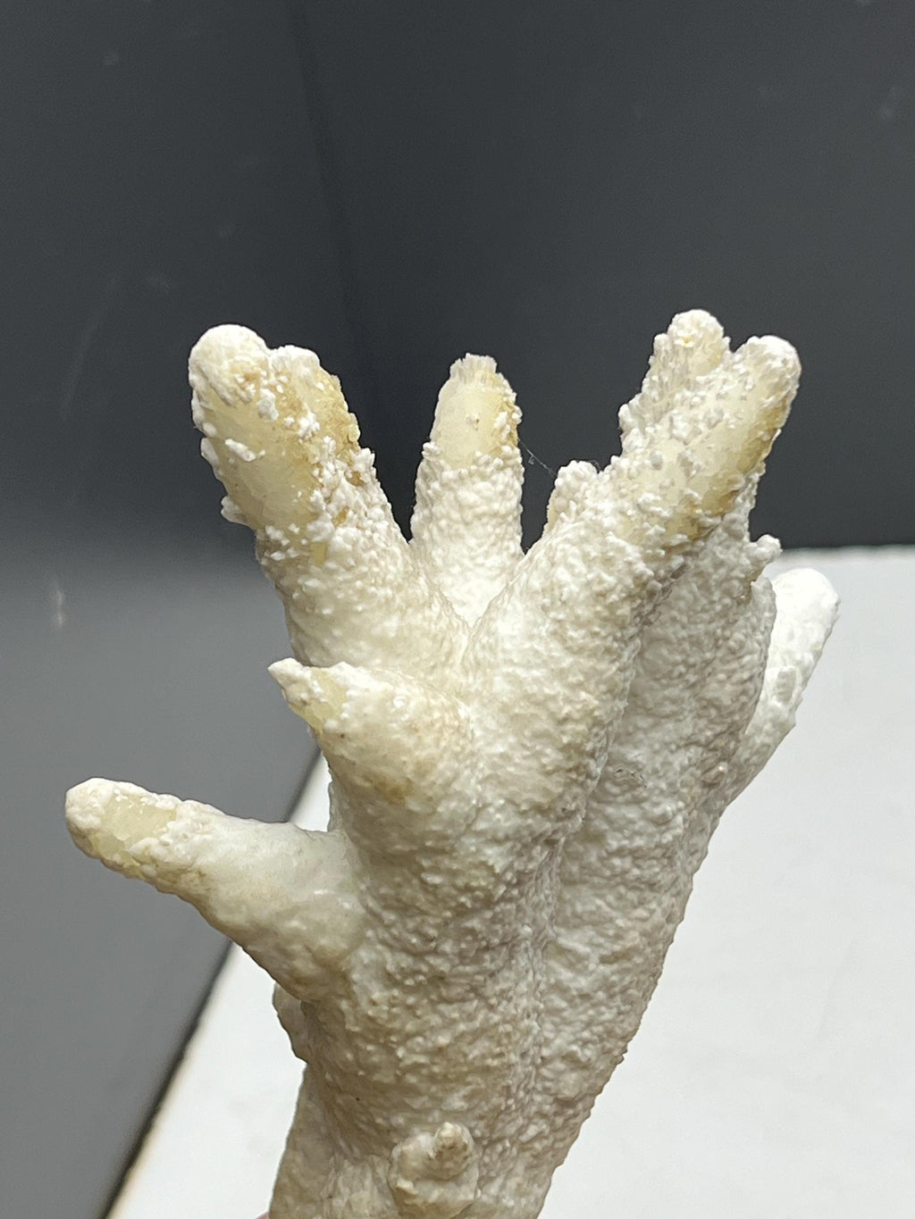 Very Special And Showy Stalactite Aragonite Mineral, From Turkey - Crystal Gemstone AE 