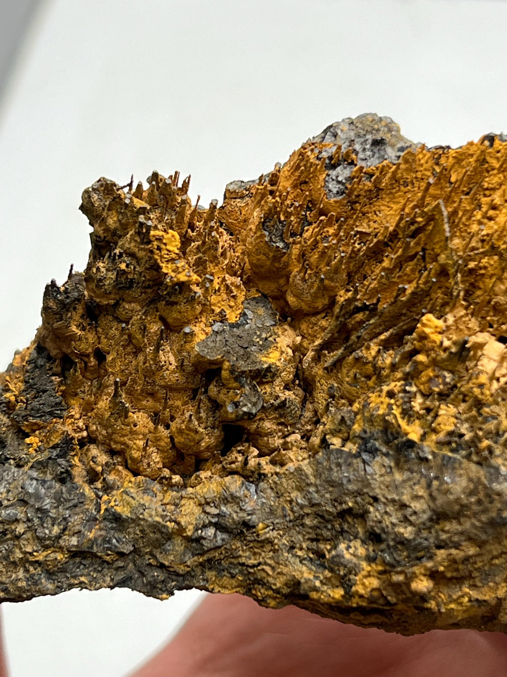 Museum quality, Very showy limonite on stalactite hematite, special collections piece - Crystal Gemstone AE 