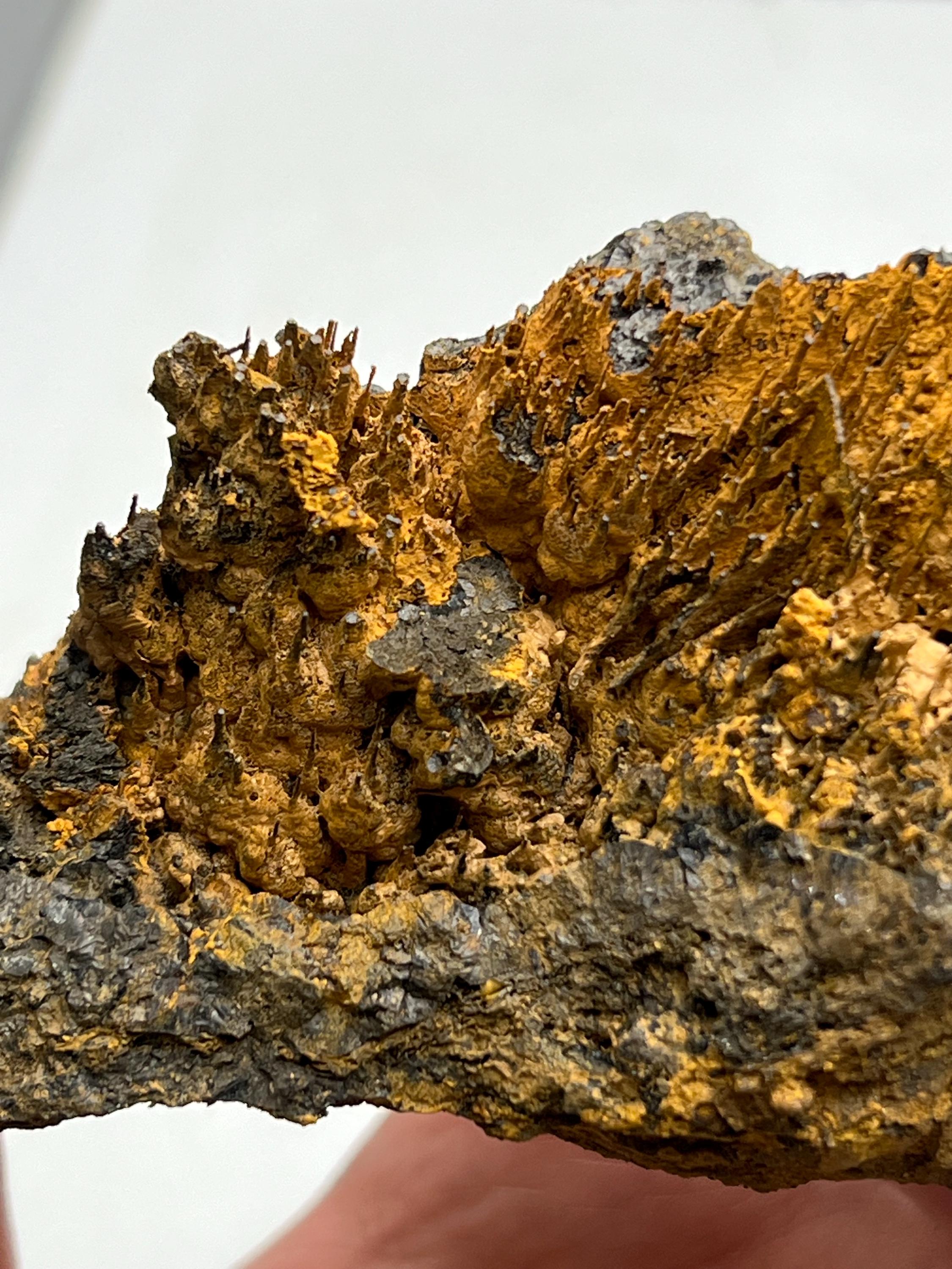 Museum quality, Very showy limonite on stalactite hematite, special collections piece - Crystal Gemstone AE 