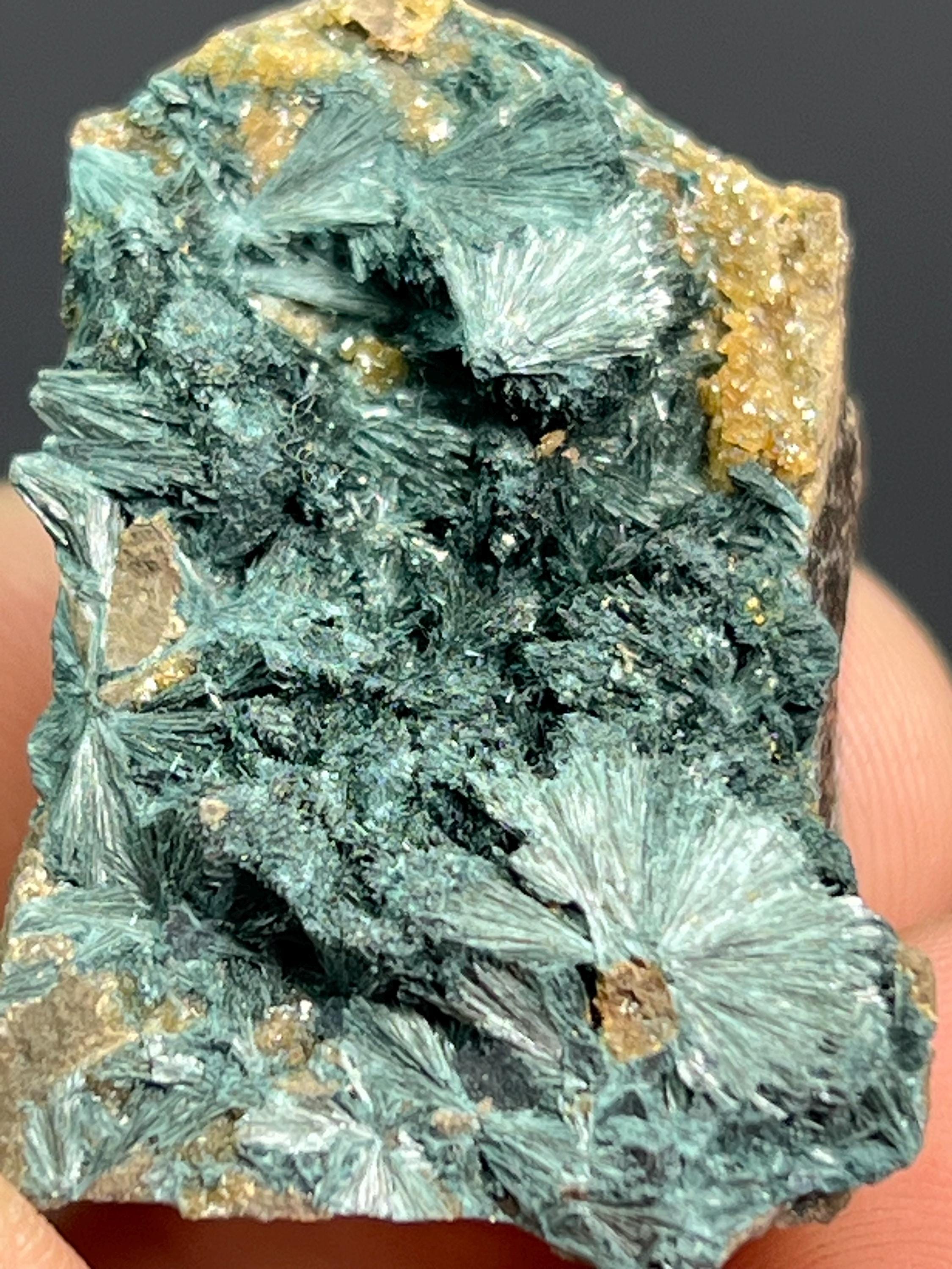 Rare Gormanite Specimen - Crystal Gemstone AE 