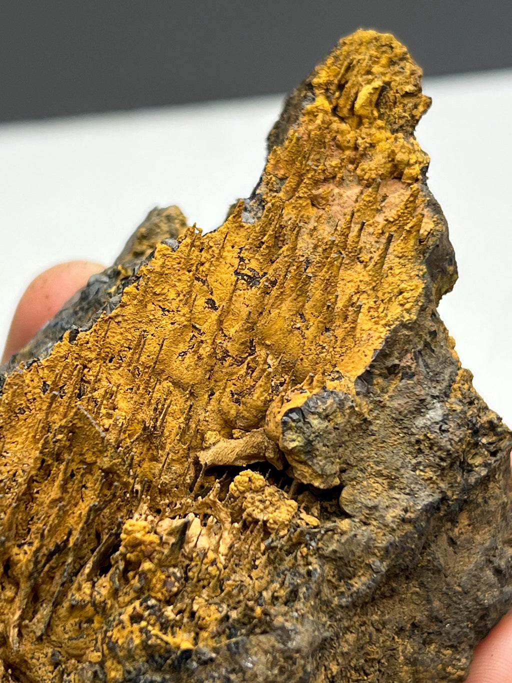 Museum quality, Very showy limonite on stalactite hematite, special collections piece - Crystal Gemstone AE 