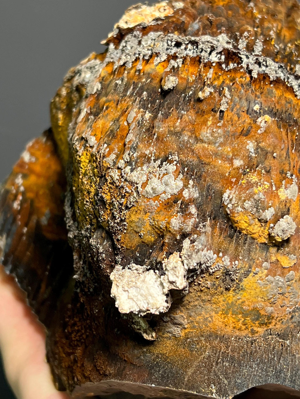 Museum Grade, Limonite And Specularite On Stalactite Goethite, 3,9kg - Crystal Gemstone AE 