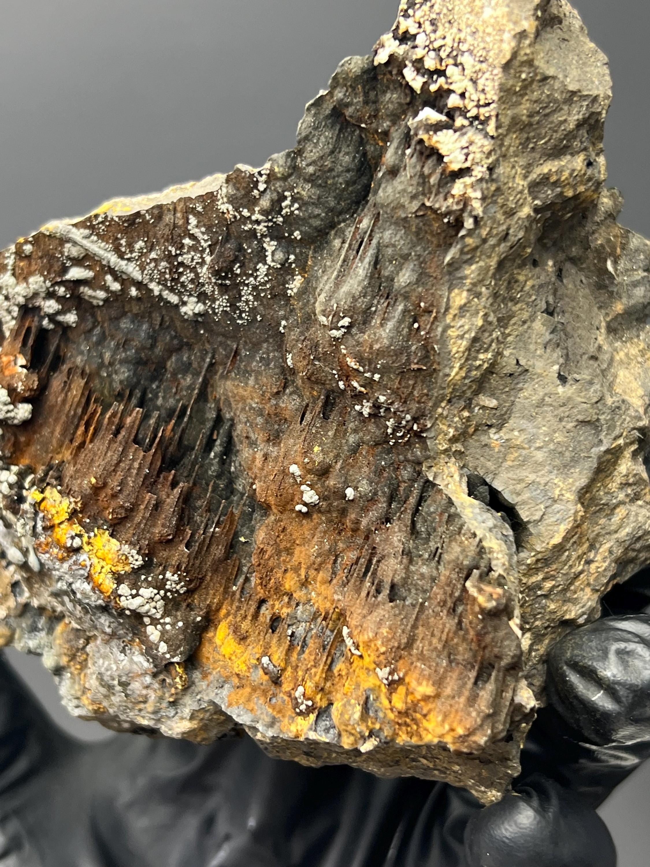 Museum Grade Limonite And Specularite On Stalactite Goethite - Crystal Gemstone AE 