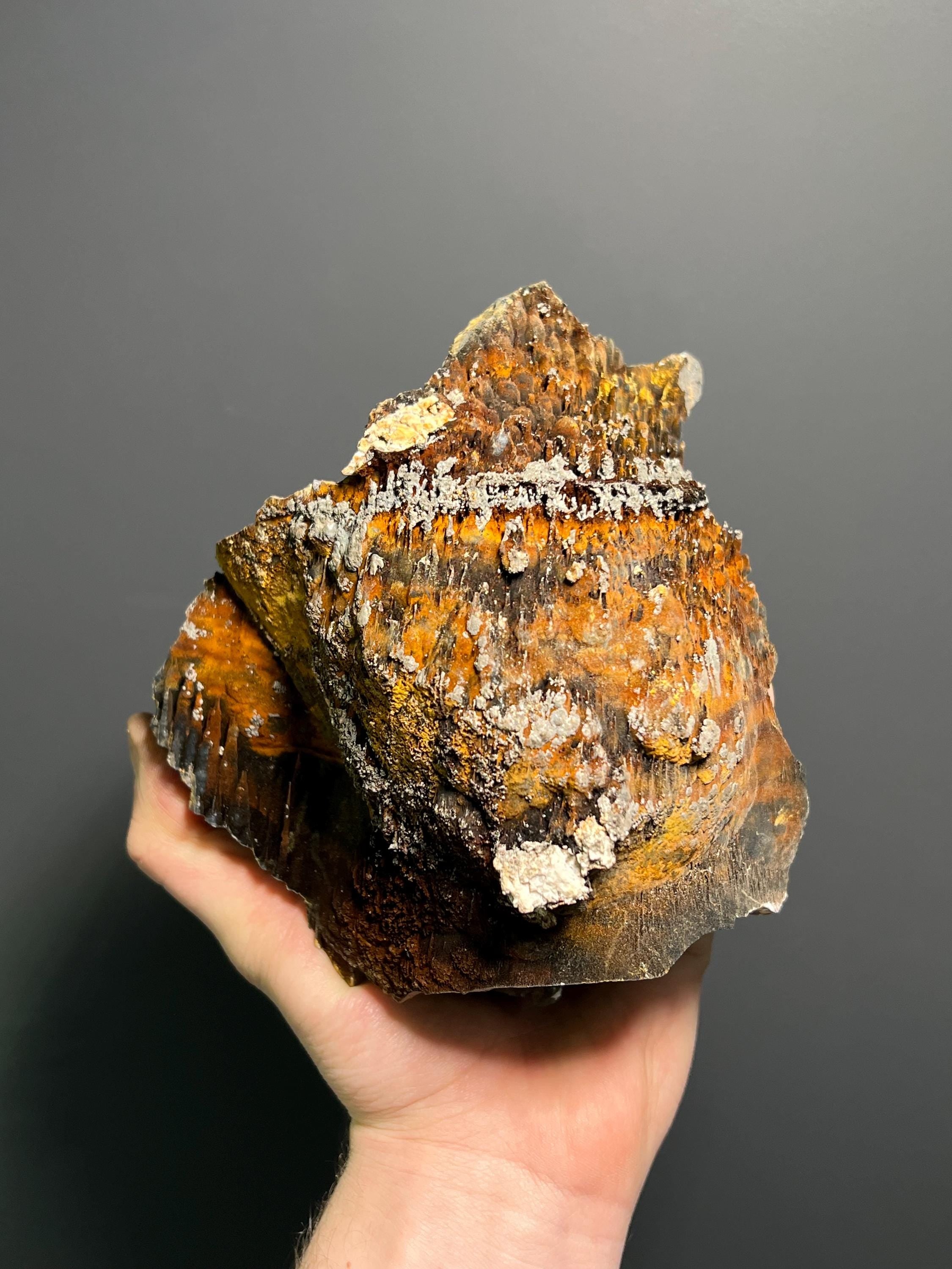 Museum Grade, Limonite And Specularite On Stalactite Goethite, 3,9kg - Crystal Gemstone AE 