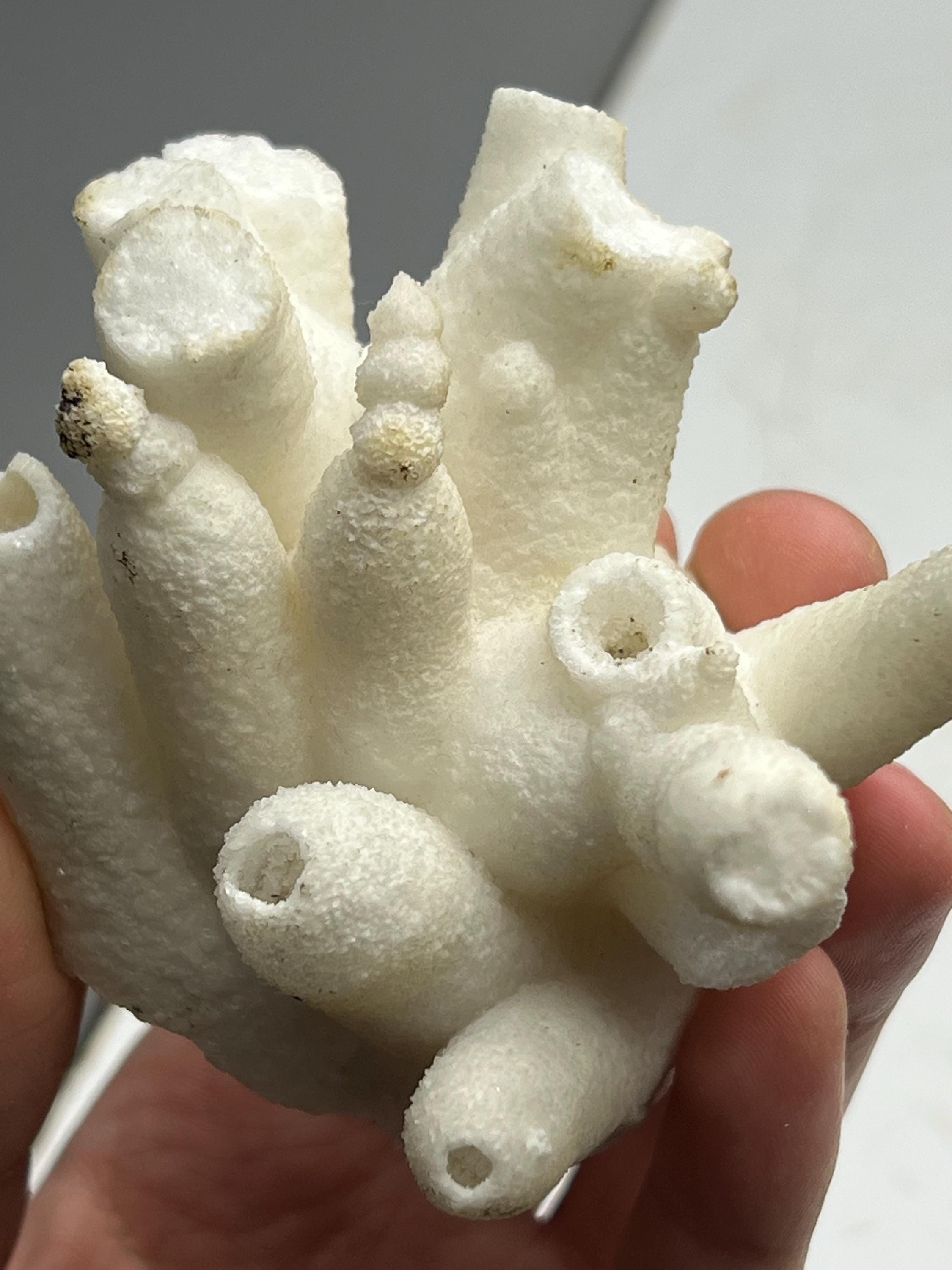 Special Formed Very Showy Stalactite Aragonite Craters, From Turkey - Crystal Gemstone AE 