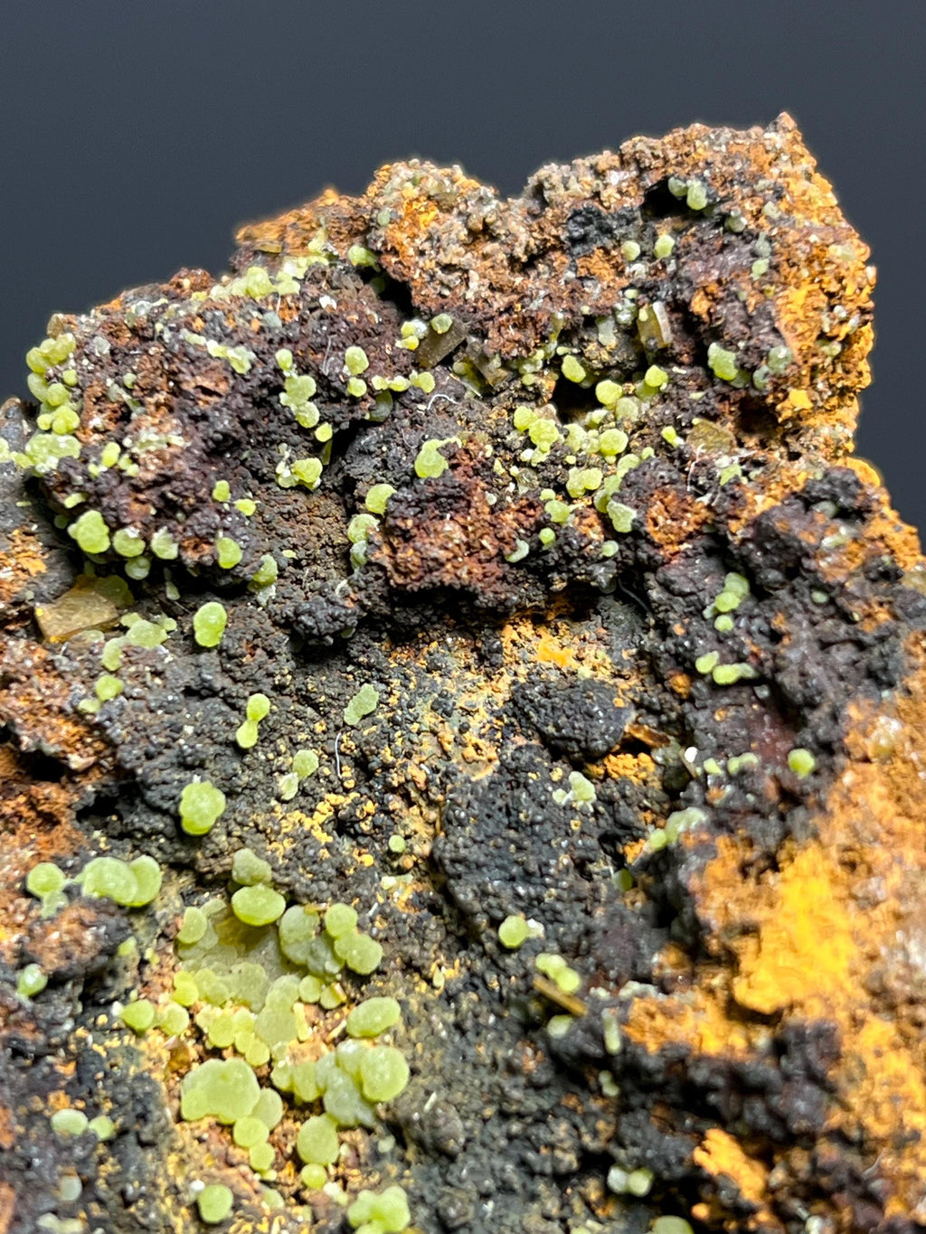 Mexican Mimetite Specimen – Botryoidal Mineral, Honey-Yellow Crystals - Crystal Gemstone AE 
