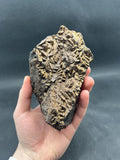 Limonite on Siderite Mineral Specimen, Iron Coated - Crystal Gemstone AE 