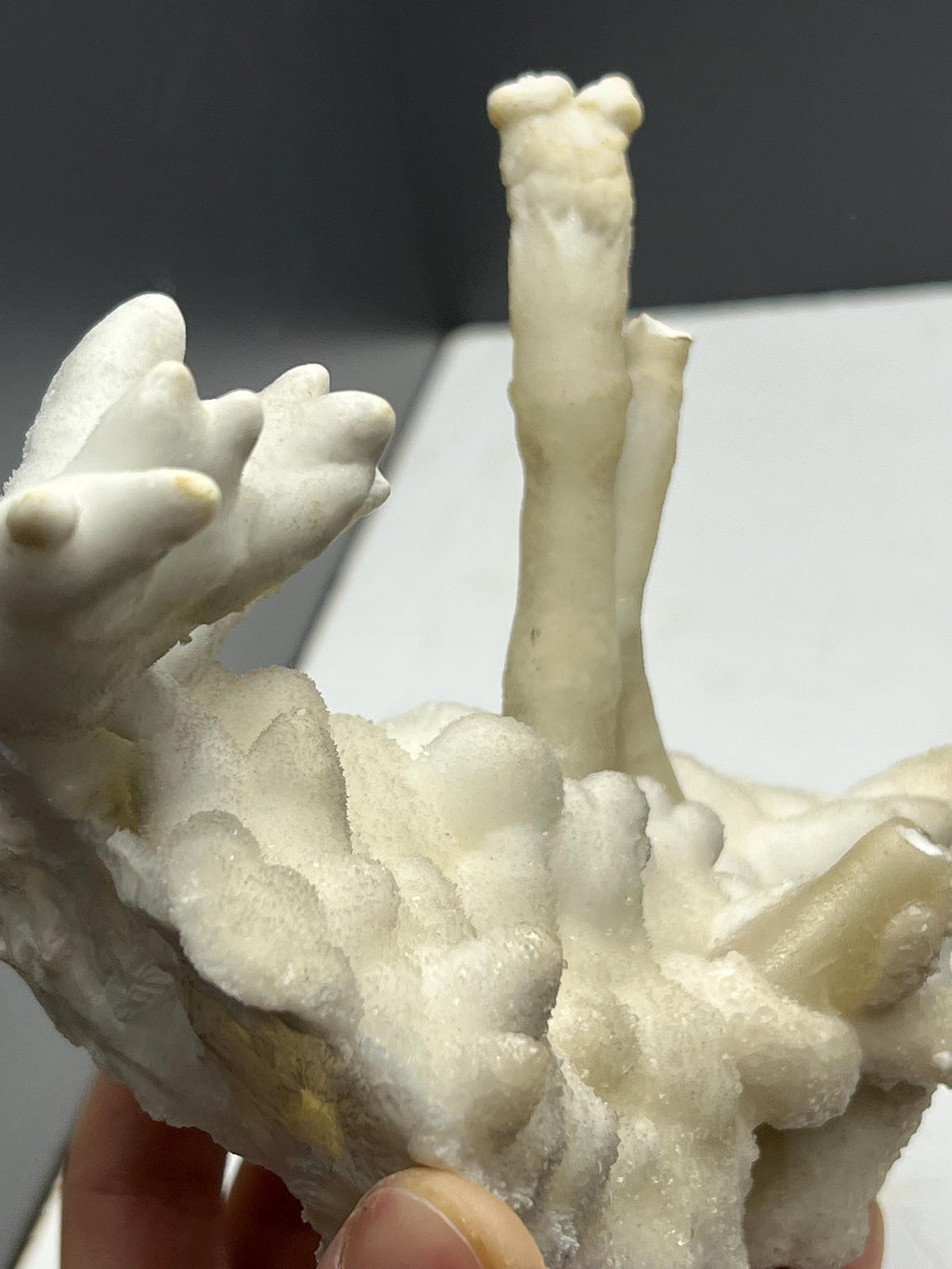 Very Special And Showy Stalactite And Botryoidal Formed Aragonite, From Turkey - Crystal Gemstone AE 