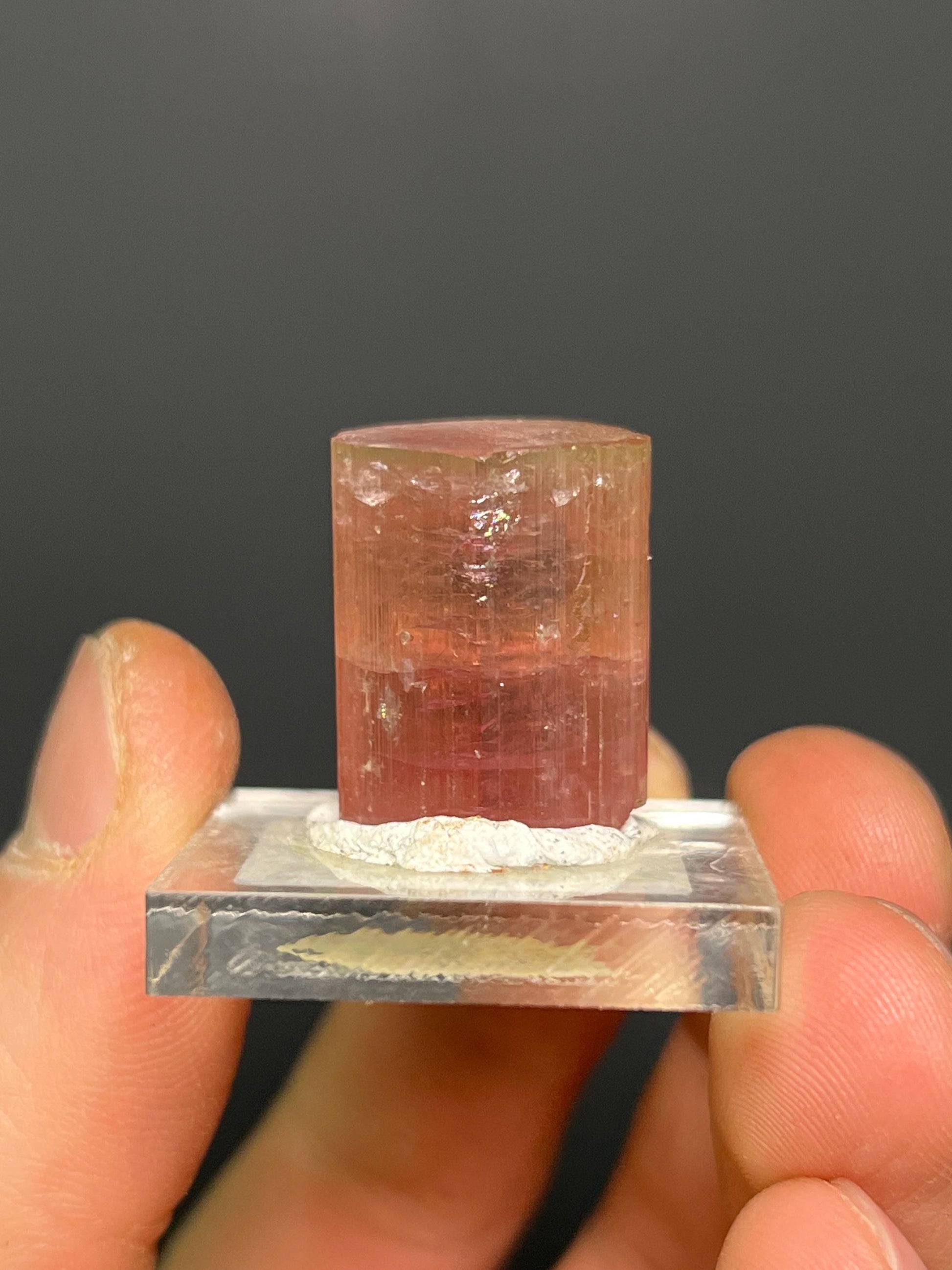 Watermelon Tourmaline Specimen - Crystal Gemstone AE 