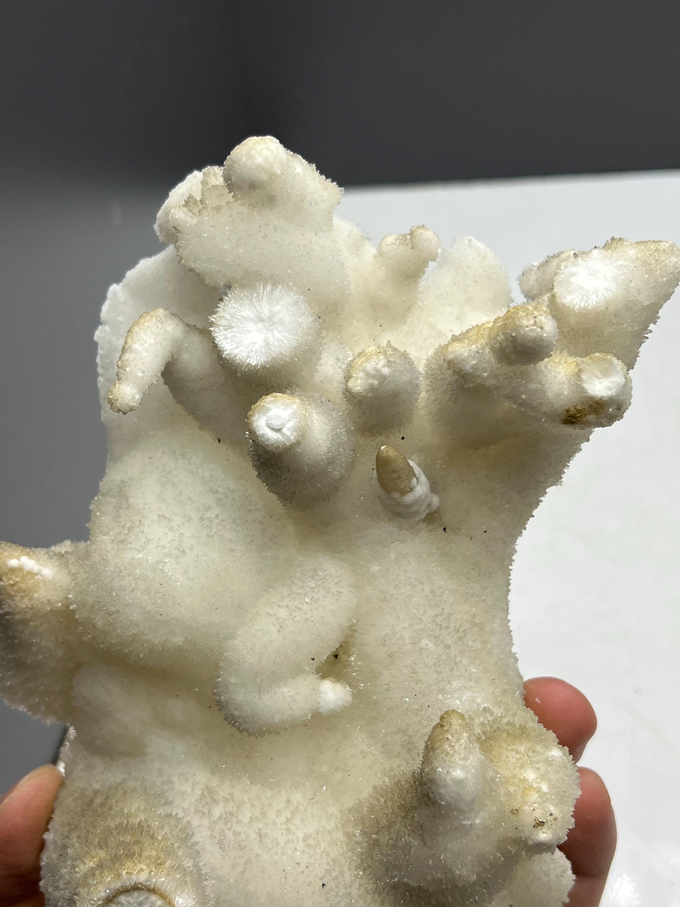 Special Formed Large Size Stalactite Aragonite Mineral, From Turkey - Crystal Gemstone AE 