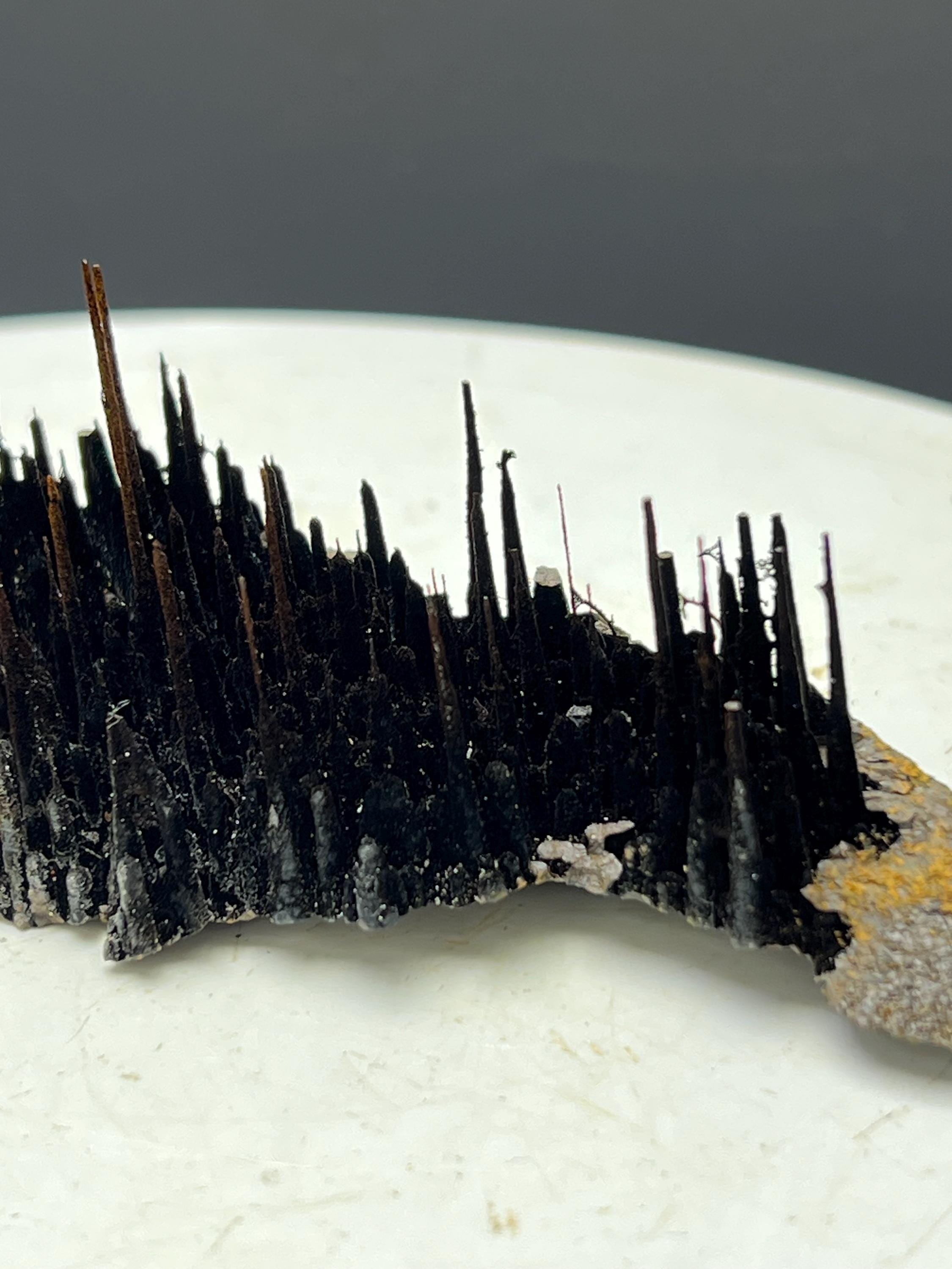 Museum Piece! Showy Stalactite Forest Goethite Specimen - Crystal Gemstone AE 