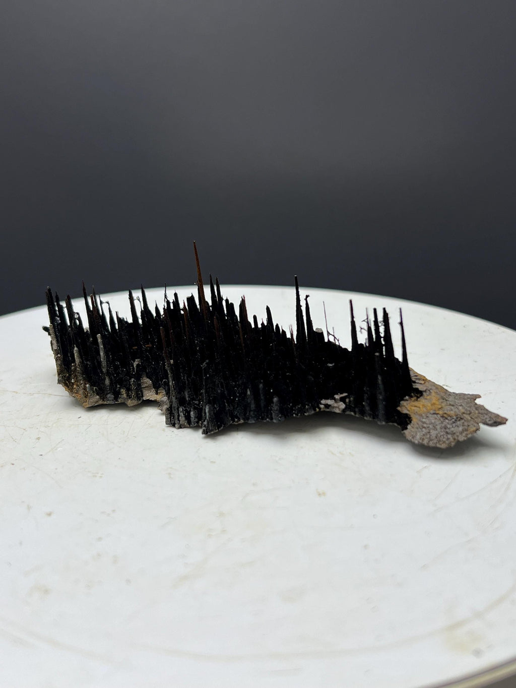 Museum Piece! Showy Stalactite Forest Goethite Specimen - Crystal Gemstone AE 