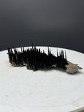 Museum Piece! Showy Stalactite Forest Goethite Specimen - Crystal Gemstone AE 