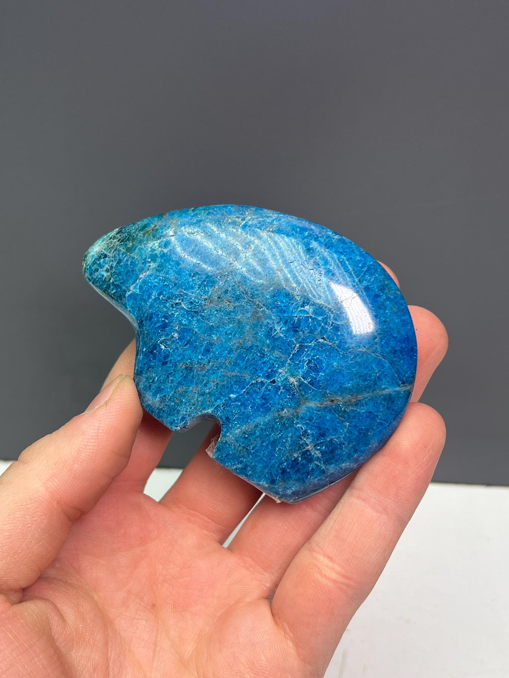 Blue Apatite Bear Totem - Crystal Gemstone AE 